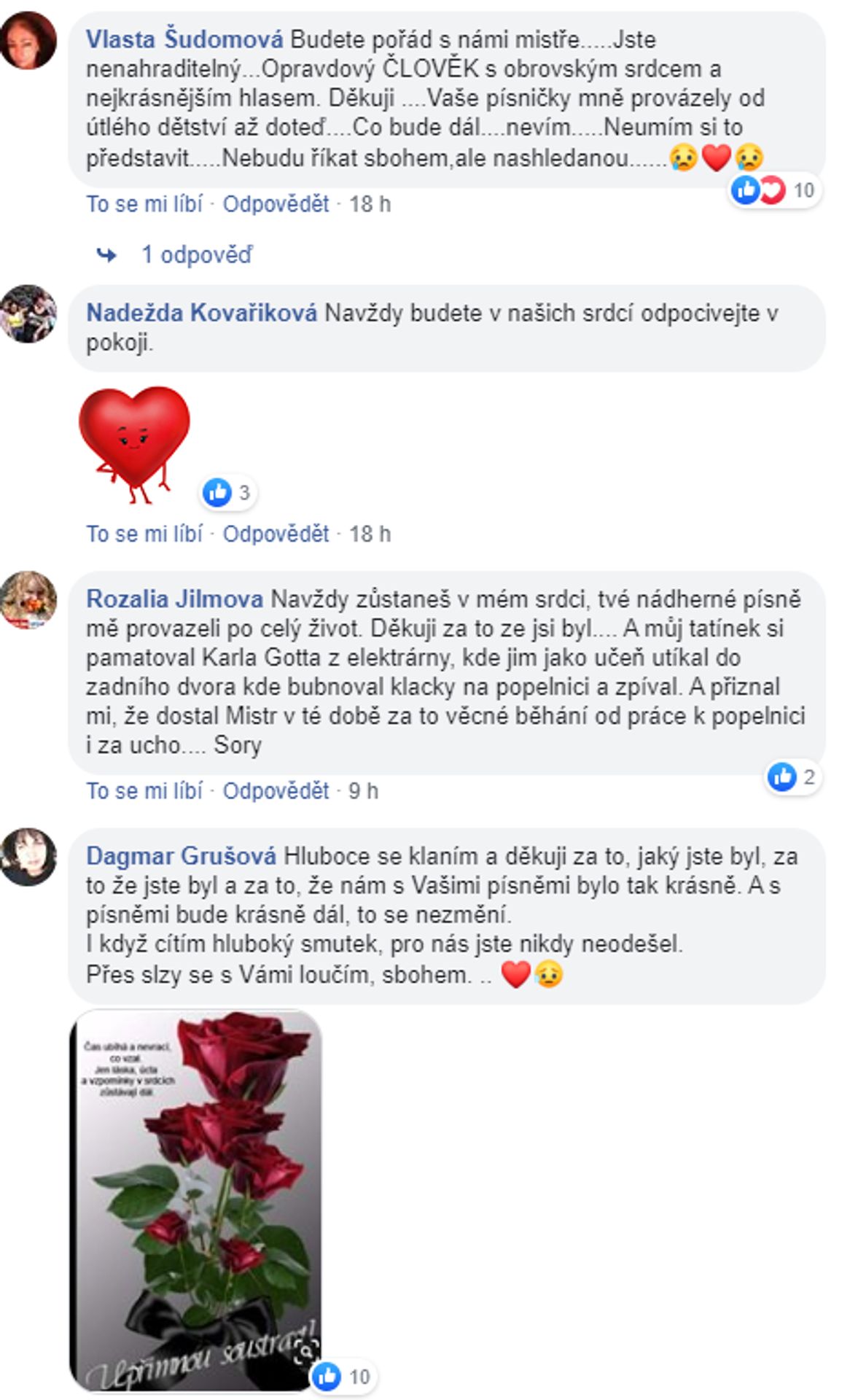 Vzkazy Karlu Gottovi - 7 - GALERIE: Vzkazy Karlu Gottovi (7/8)