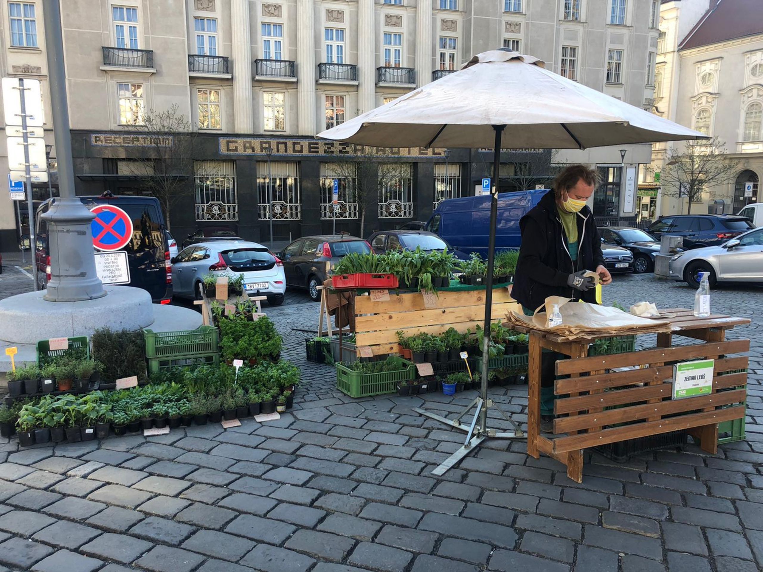 Farmářske trhy v Brně na Zelném trhu - 7 - GALERIE: Farmářské trhy v Brně na Zelném trhu (7/9)