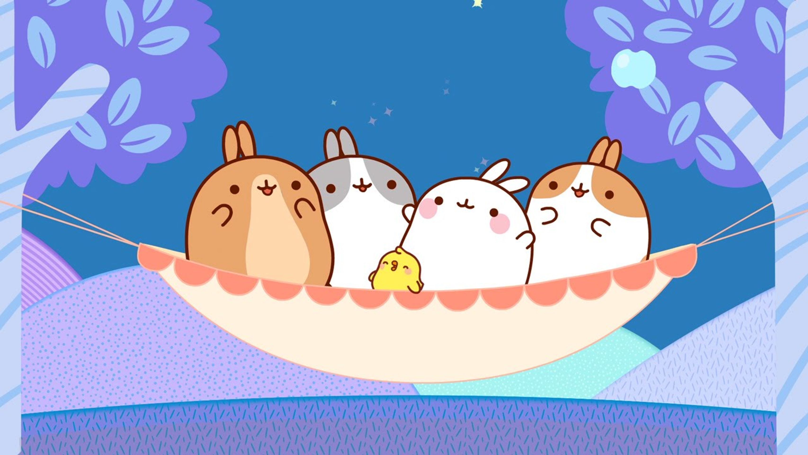 molang_splash - GALERIE: Muž zhubnul za 12 kilogramu, jak to udělal? (3/4)