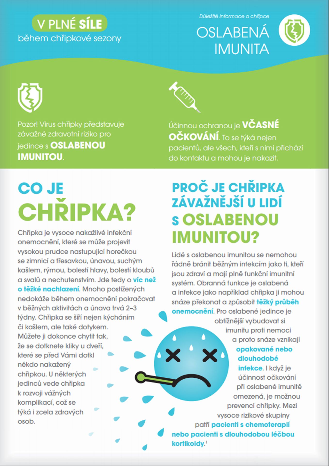 Chřipka - oslabená imunita - GALERIE: Chřipka (9/10)
