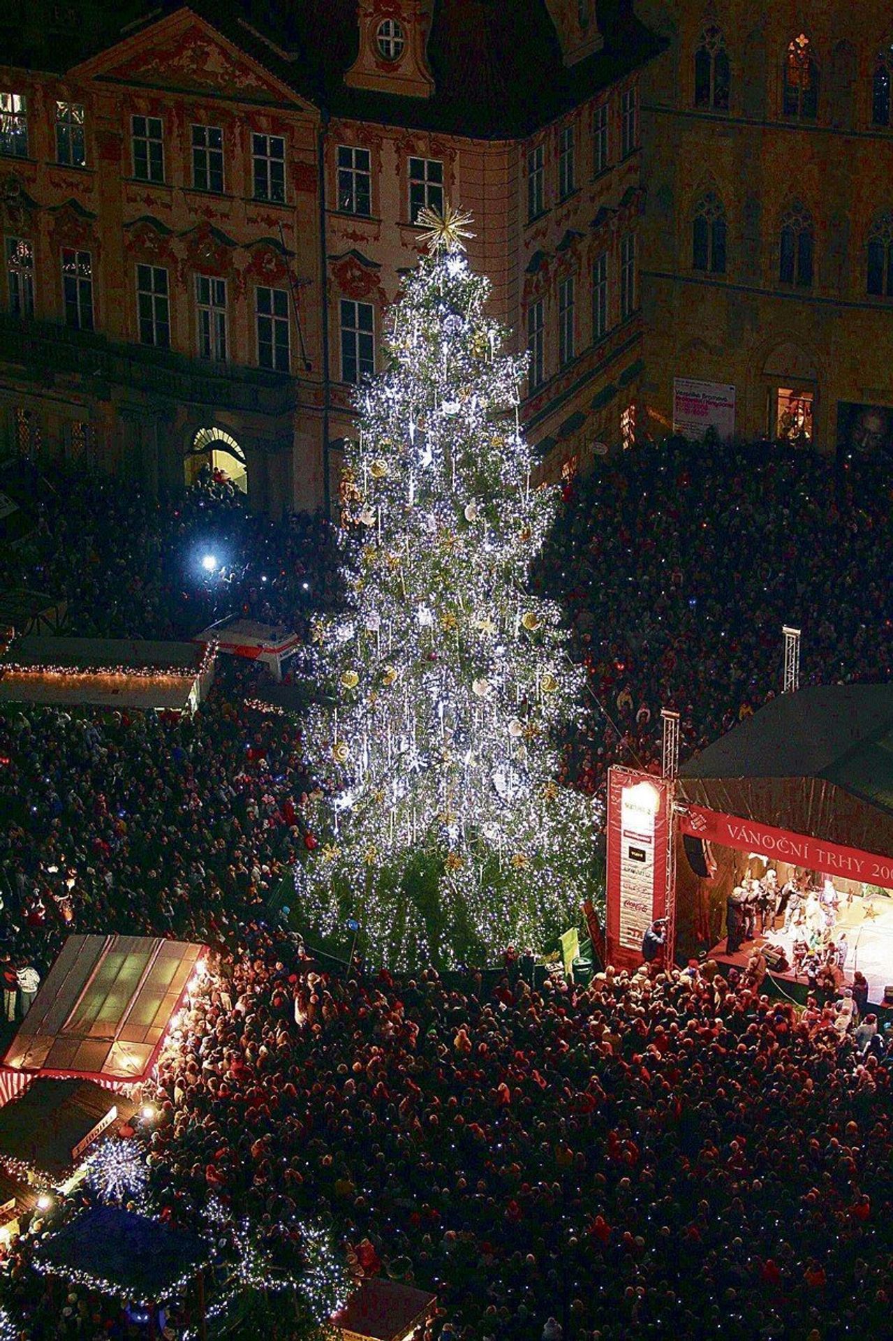 Vánoční strom na Staroměstském náměstí - 2008 - GALERIE: Vánoční stromy na Staroměstském náměstí (2/11)