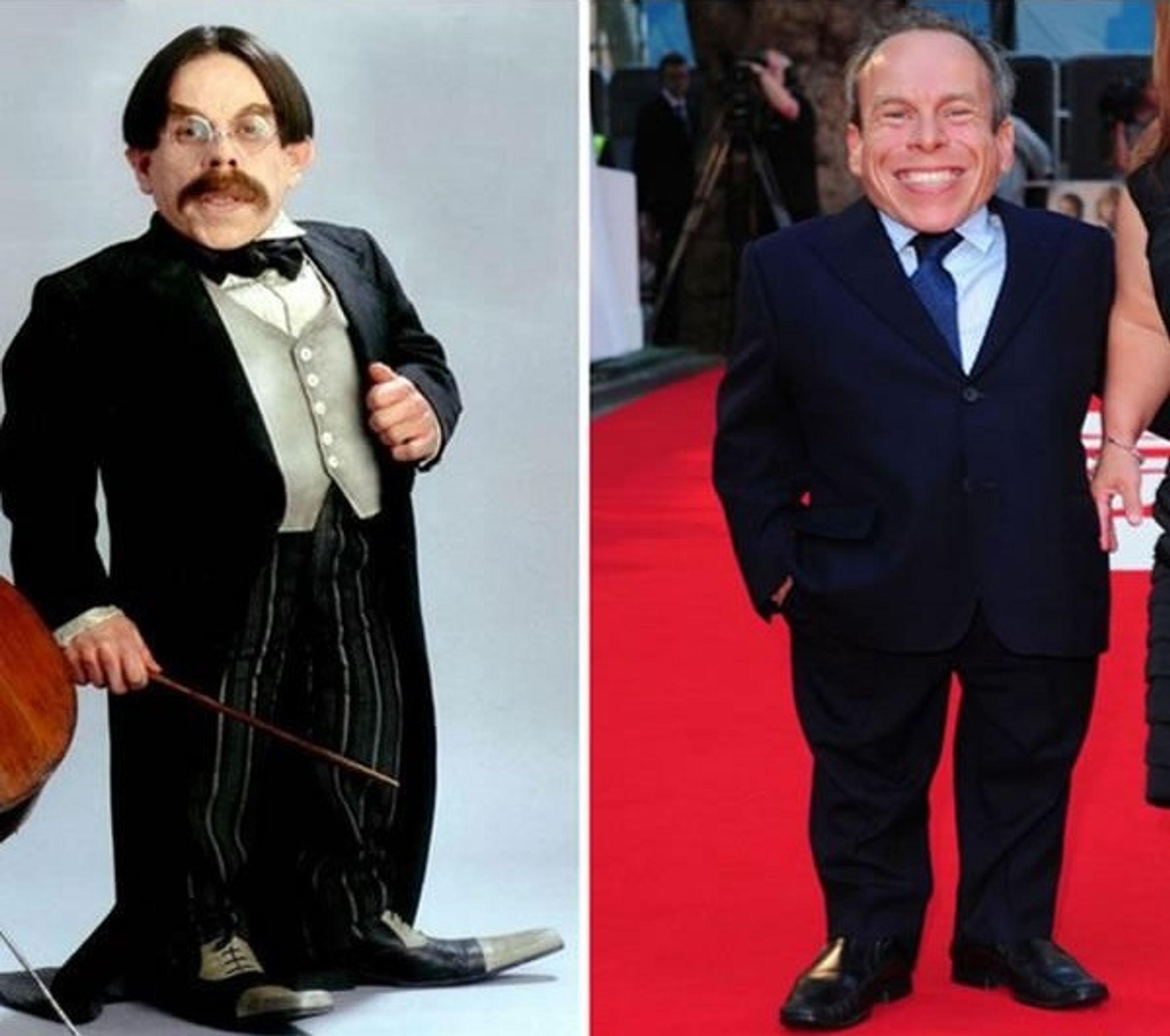 Harry Potter - postavy - profesor Kratiknot - Warwick Davis - GALERIE: Harry Potter - postavy (17/22)