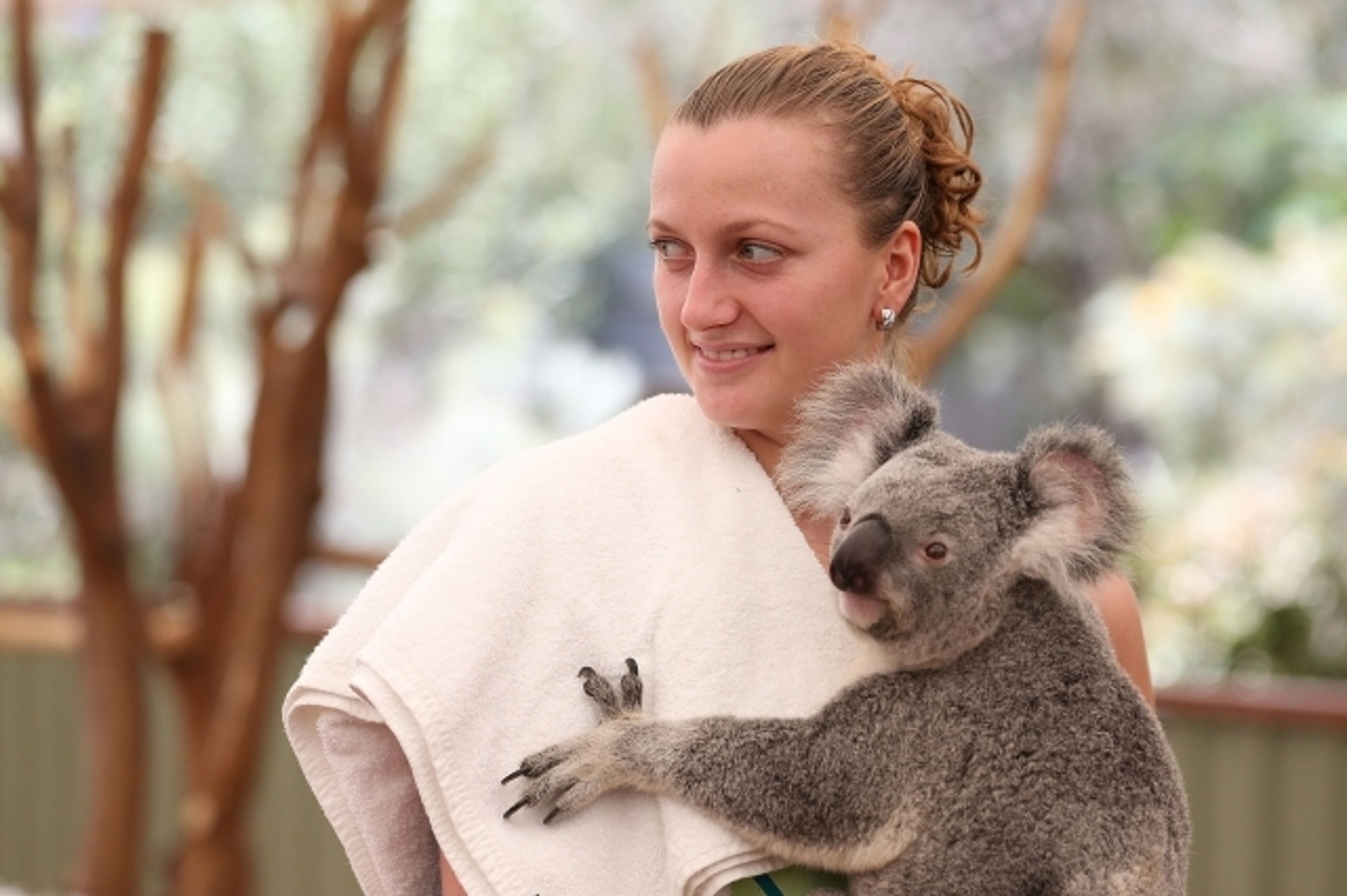 Petra Kvitová a koala - 5 - GALERIE: Petra Kvitová a koala (4/8)