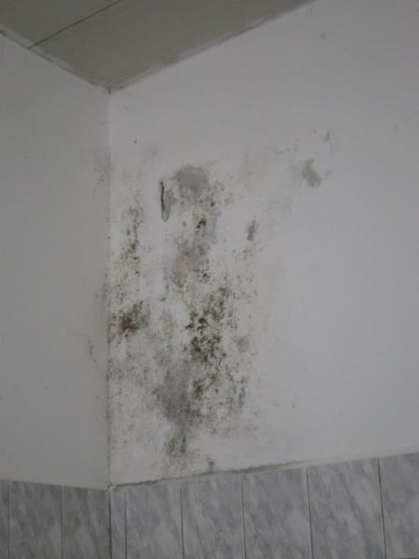 Uzavřená pekárna ve Vyškově - Uzavřená pekárna ve Vyškově (7/16)
