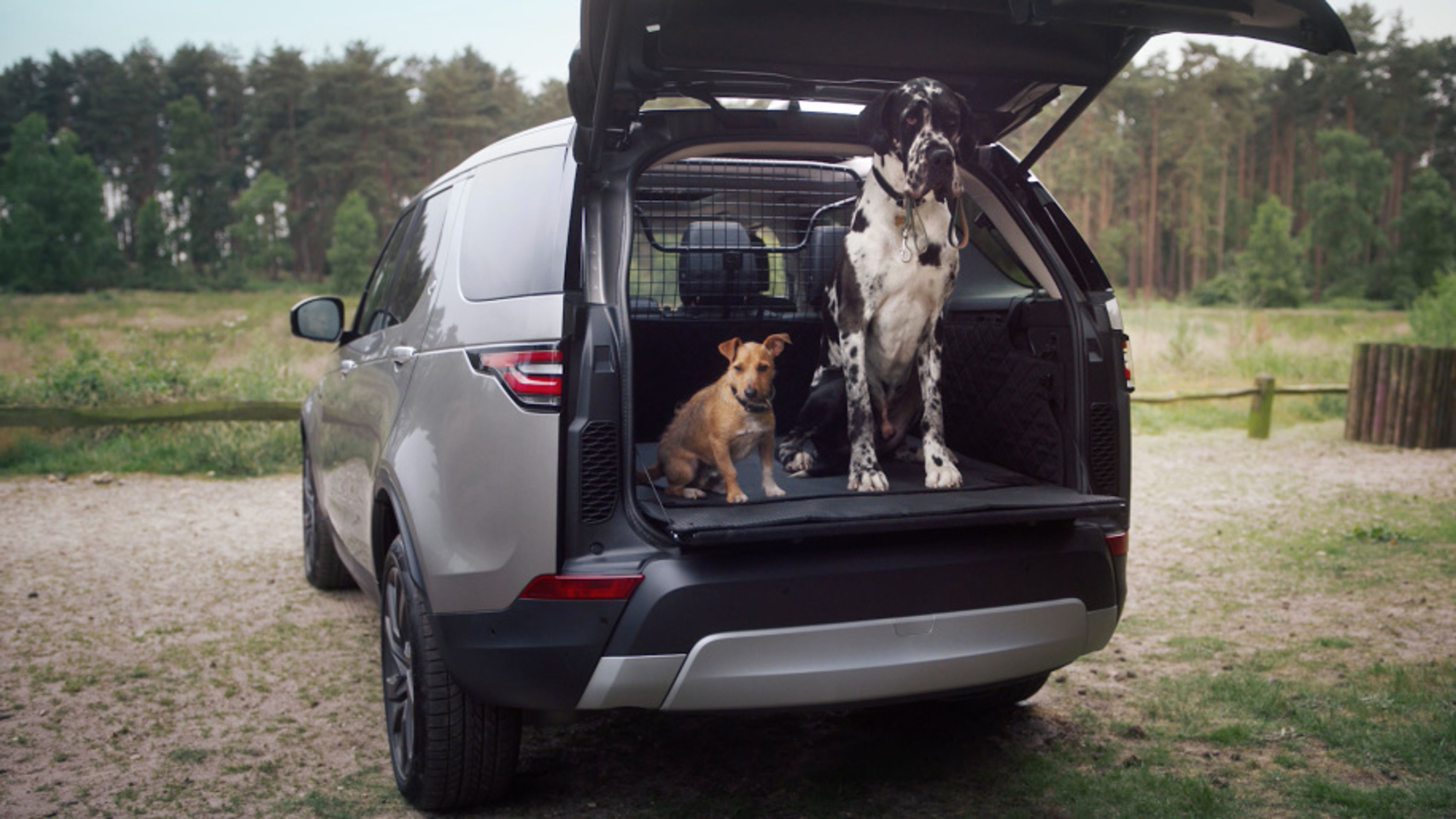 Výbava pro psy od Land Roveru - 24 - Fotogalerie: Psí výbava od Land Roveru (7/12)