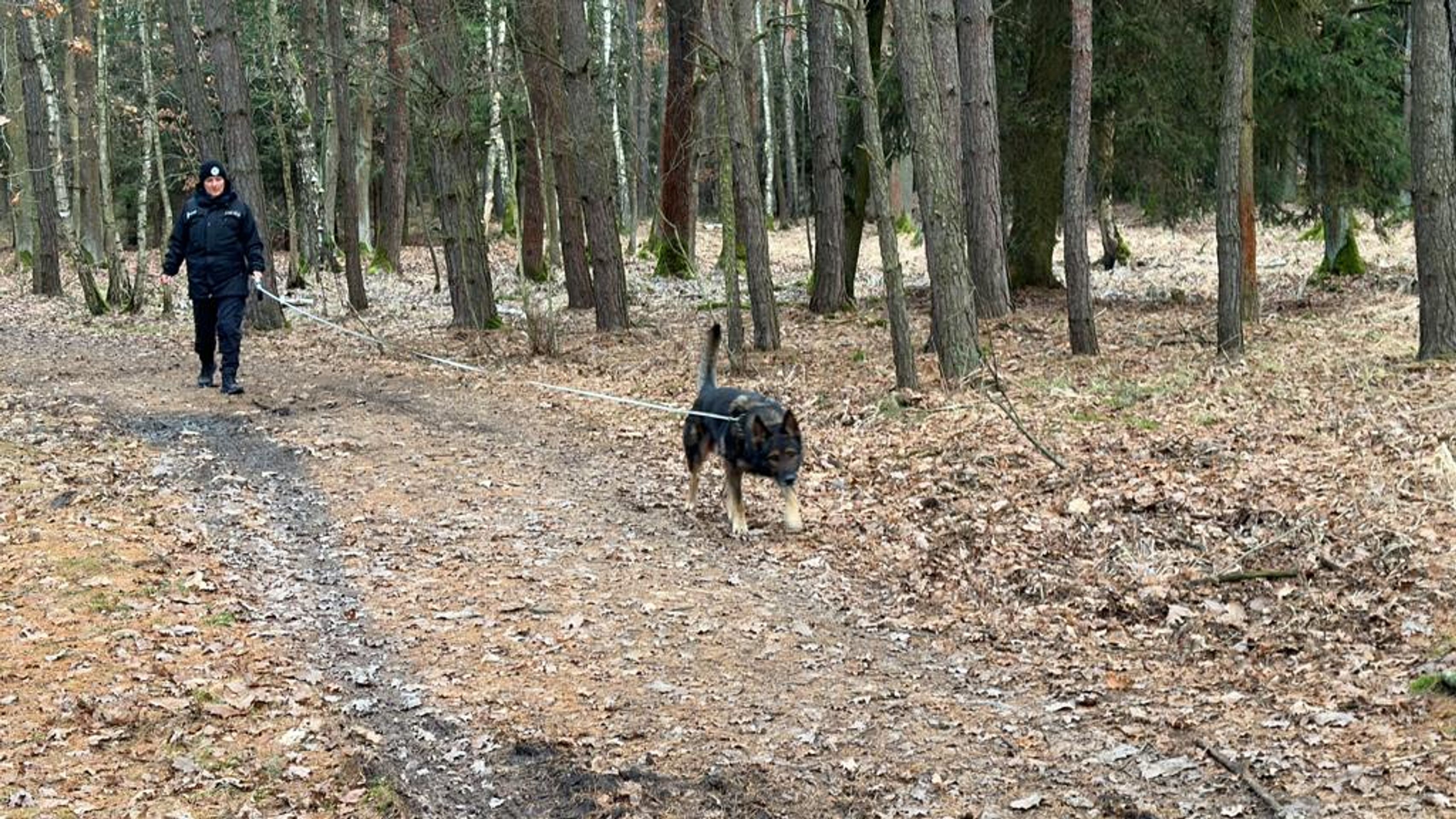 Hromadná policejní akce v Klánovicích (7) - Pátrací akce v Klánovickém lese (11/33)