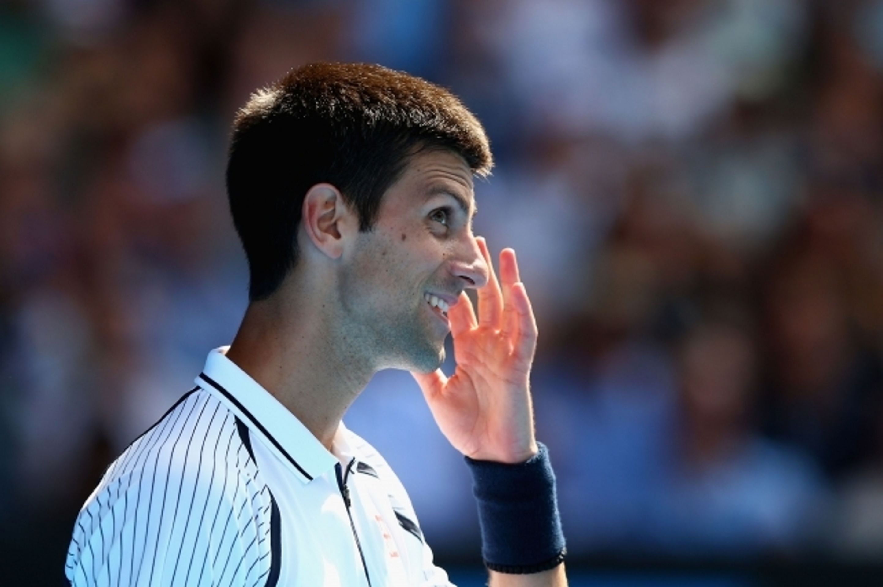 Radek Štěpánek - Novak Djokovič - 1 - GALERIE: Radek Štěpánek vs. Novak Djokovič (12/12)