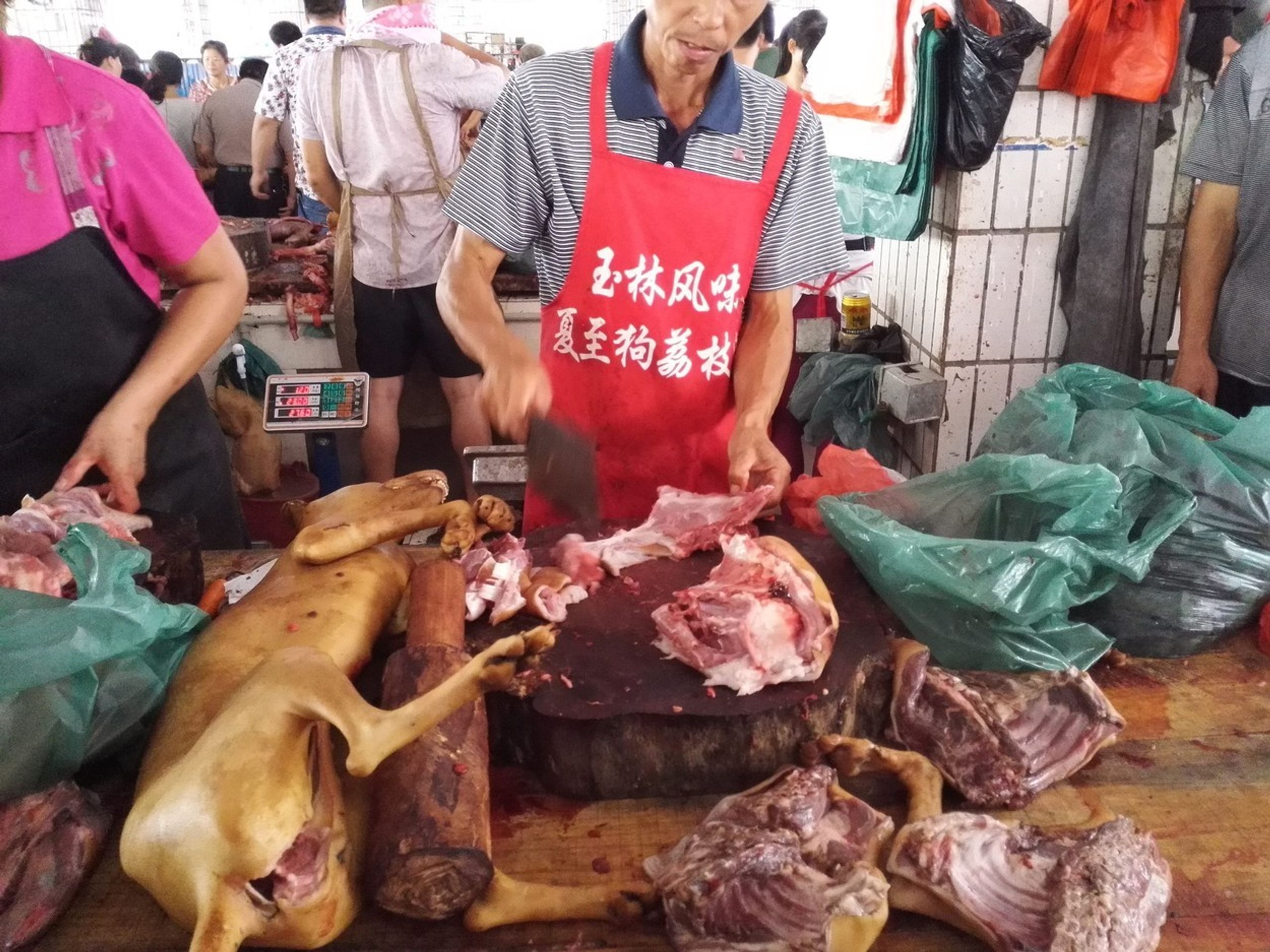 Festival psího masa v Jü-linu 2016 - 6 - GALERIE: Festival psího masa v Yulinu 2016 (6/6)