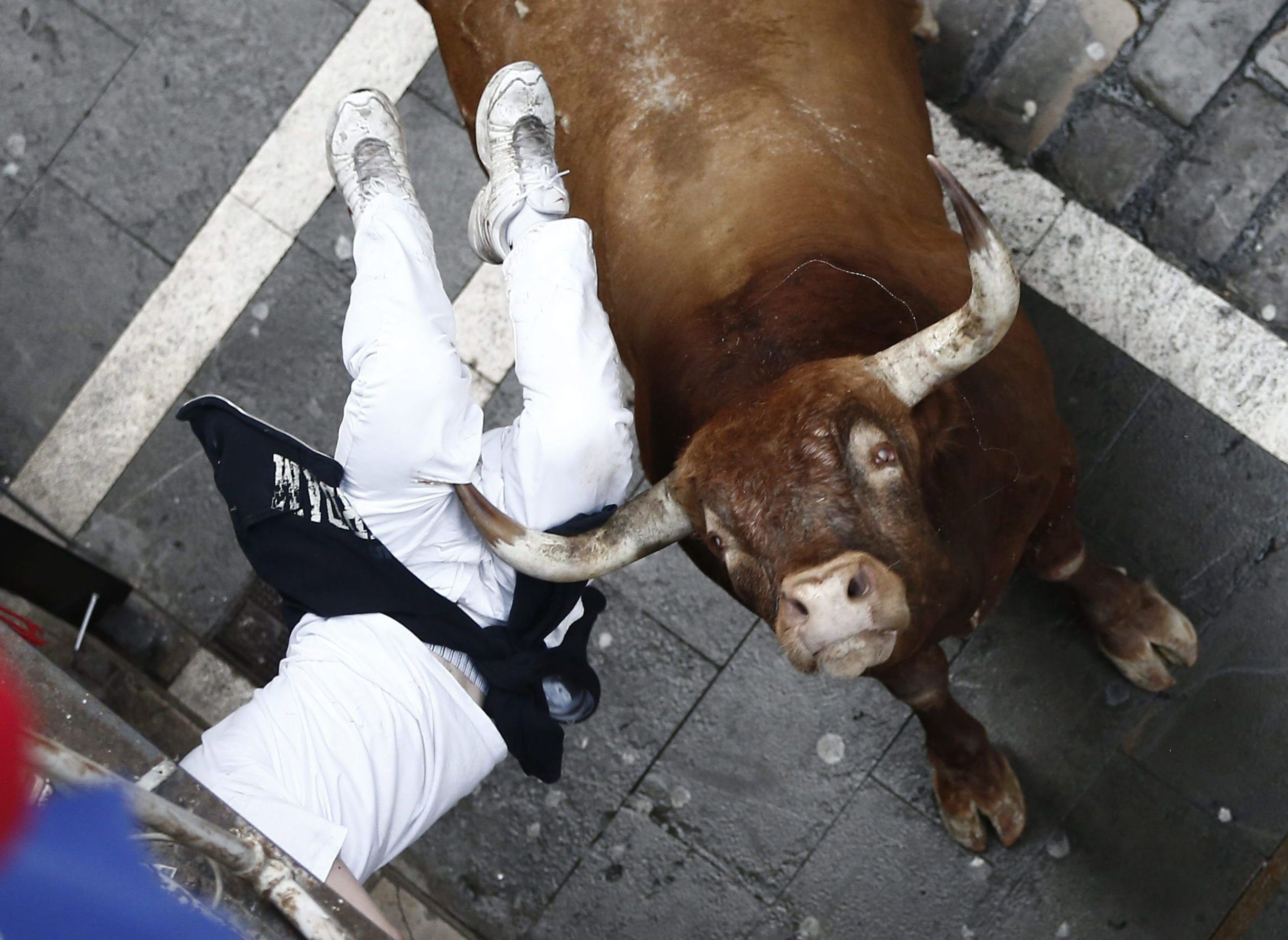 Vypuštění býků ve Španělsku - 3 - GALERIE: Vypuštění býků ve Španělsku (3/6)