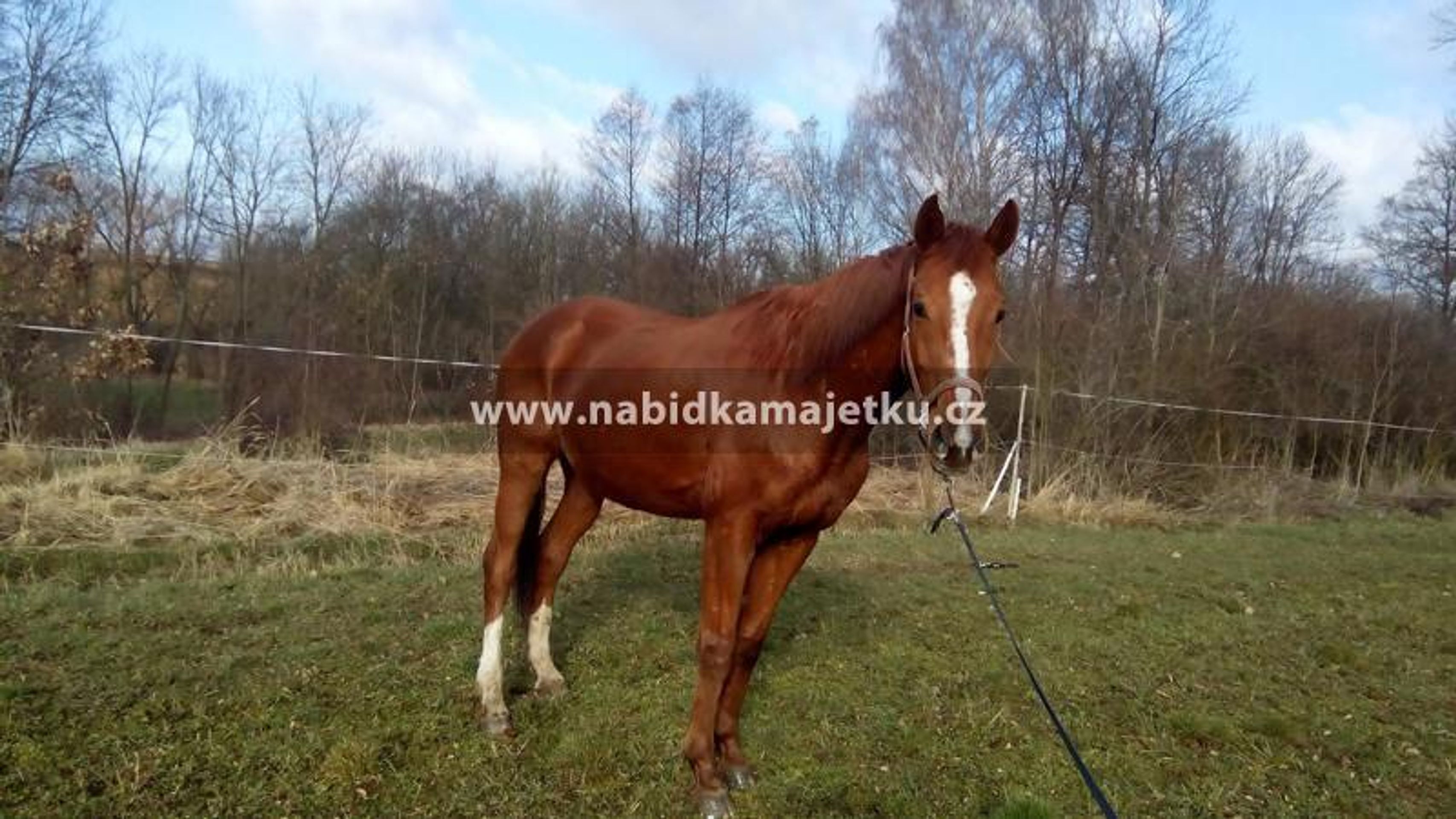 Nabídka státního majetku - Rozprodej státního majetku –⁠ ostatní (3/8)