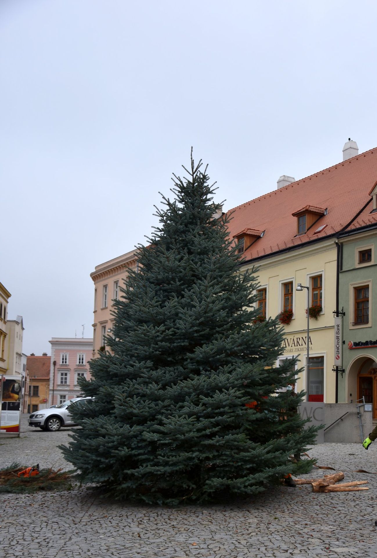 Vánoční stromek pro Znojmo - GALERIE: Vánoční stromky v ČR (9/11)