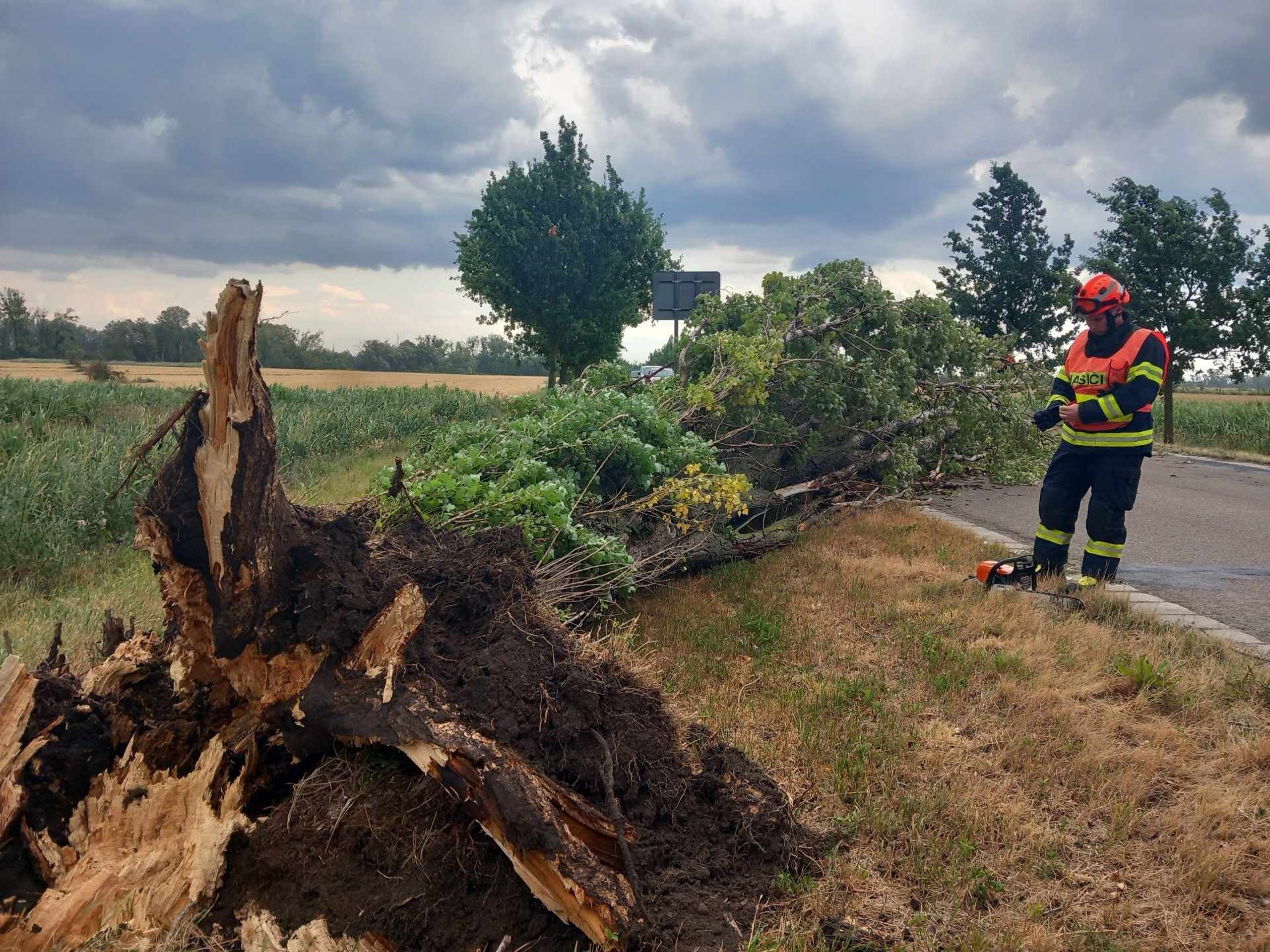 Následky bouřek na jižní Moravě - Následky nedělních bouřek (10/12)