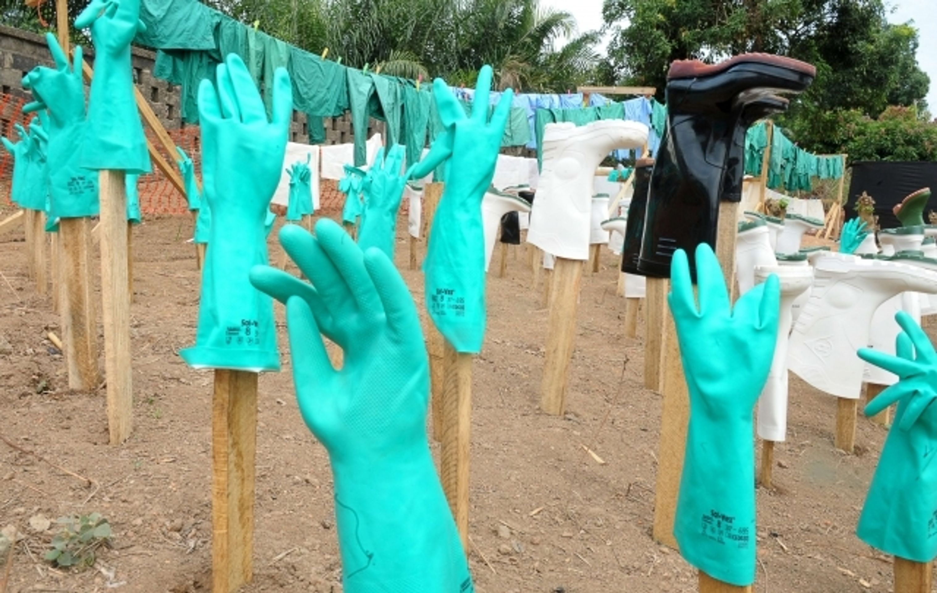 Takhle vypadá ebola - 2 - GALERIE: Takhle vypadá ebola 1 (2/11)