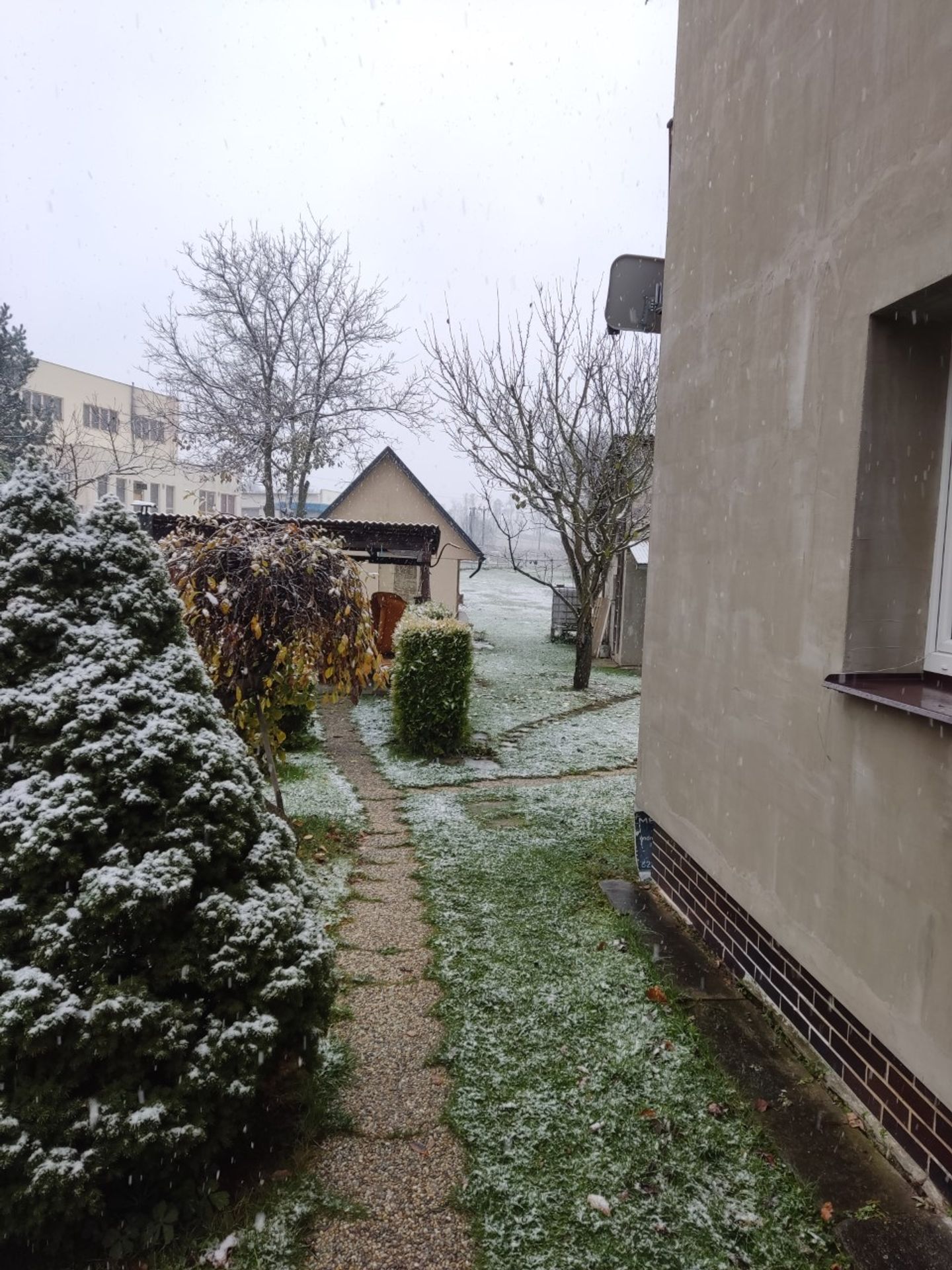 Ochlazení s sebou přineslo sníh - Do Česka dorazil sníh (13/17)