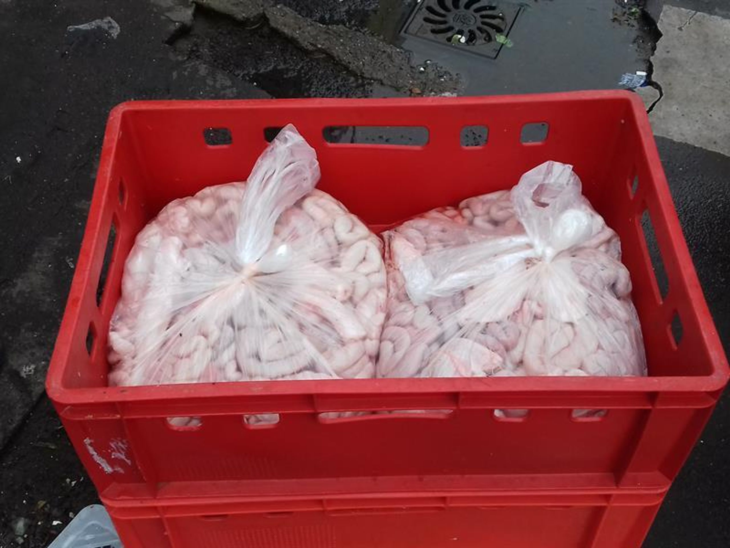 Kontrola celní správy v areálu Sapa - GALERIE: Kontrola celní správy v areálu Sapa (7/7)