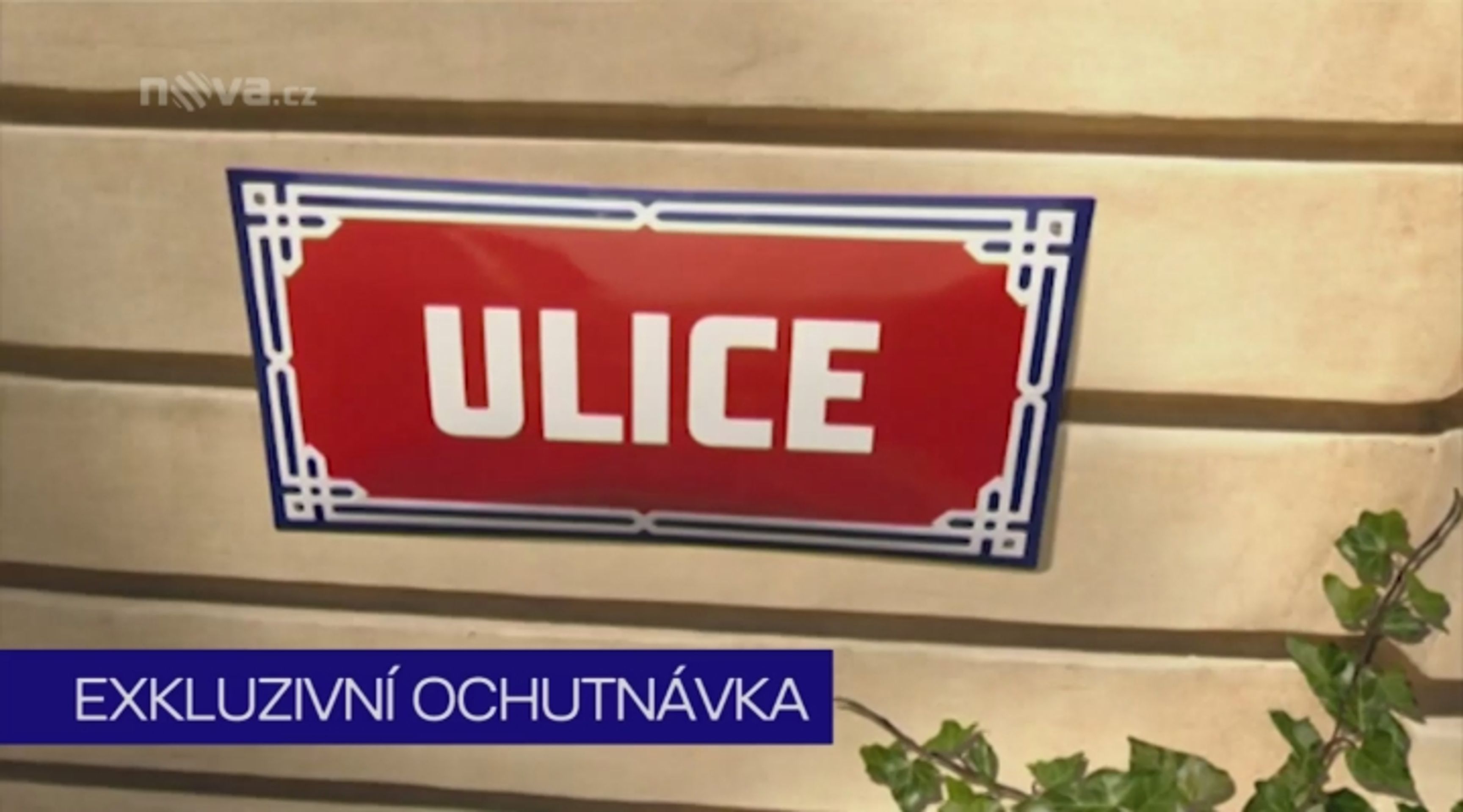 2013-03-29_Ulice_exkl_boris - VTHUMB - Největší favoriti v psí soutěži (9/10)
