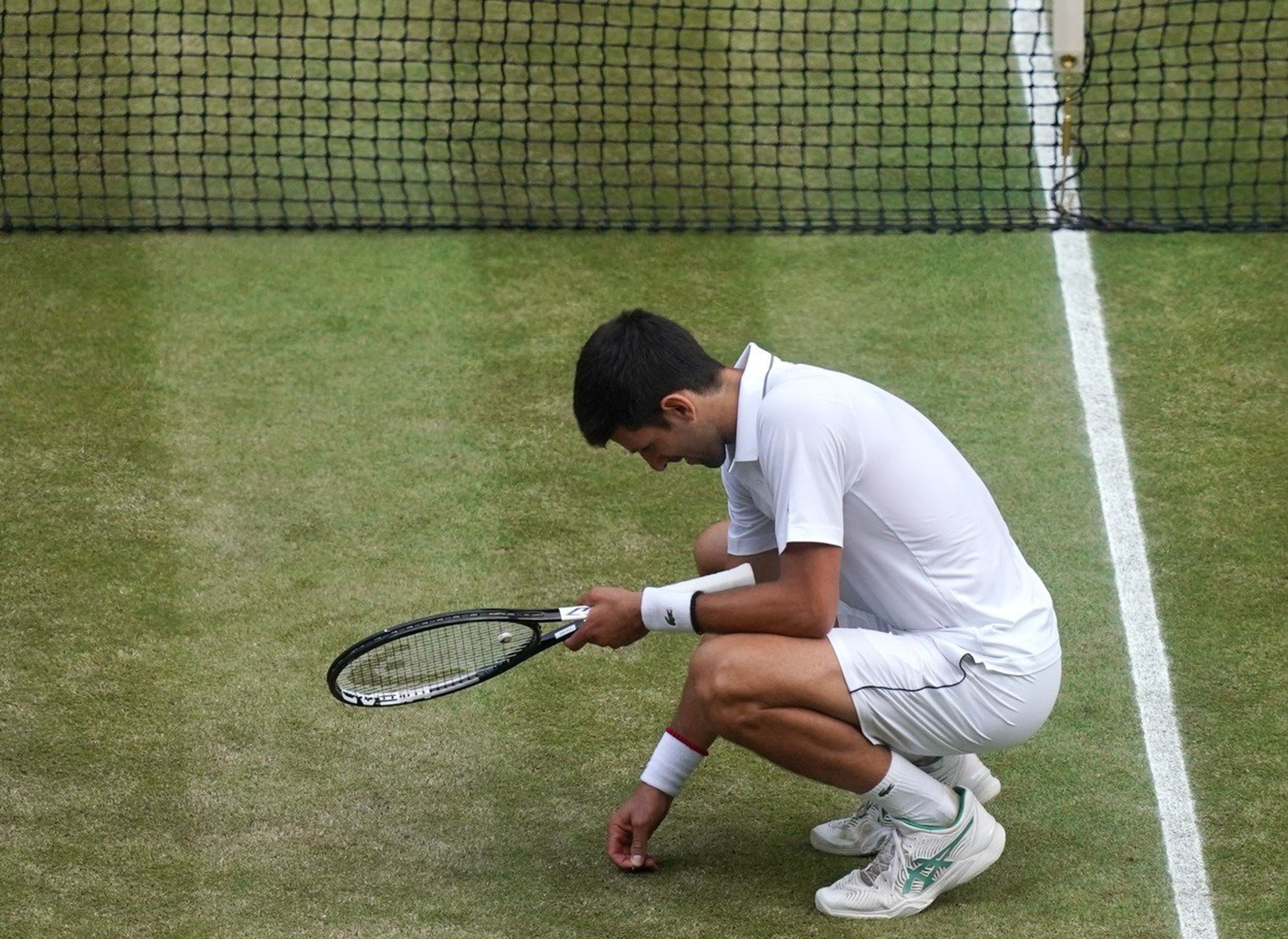 Novak Djokovič přeměřuje výšku pažitu - GALERIE: Travnaté kurty na Wimbledonu fungují i během roku (1/5)