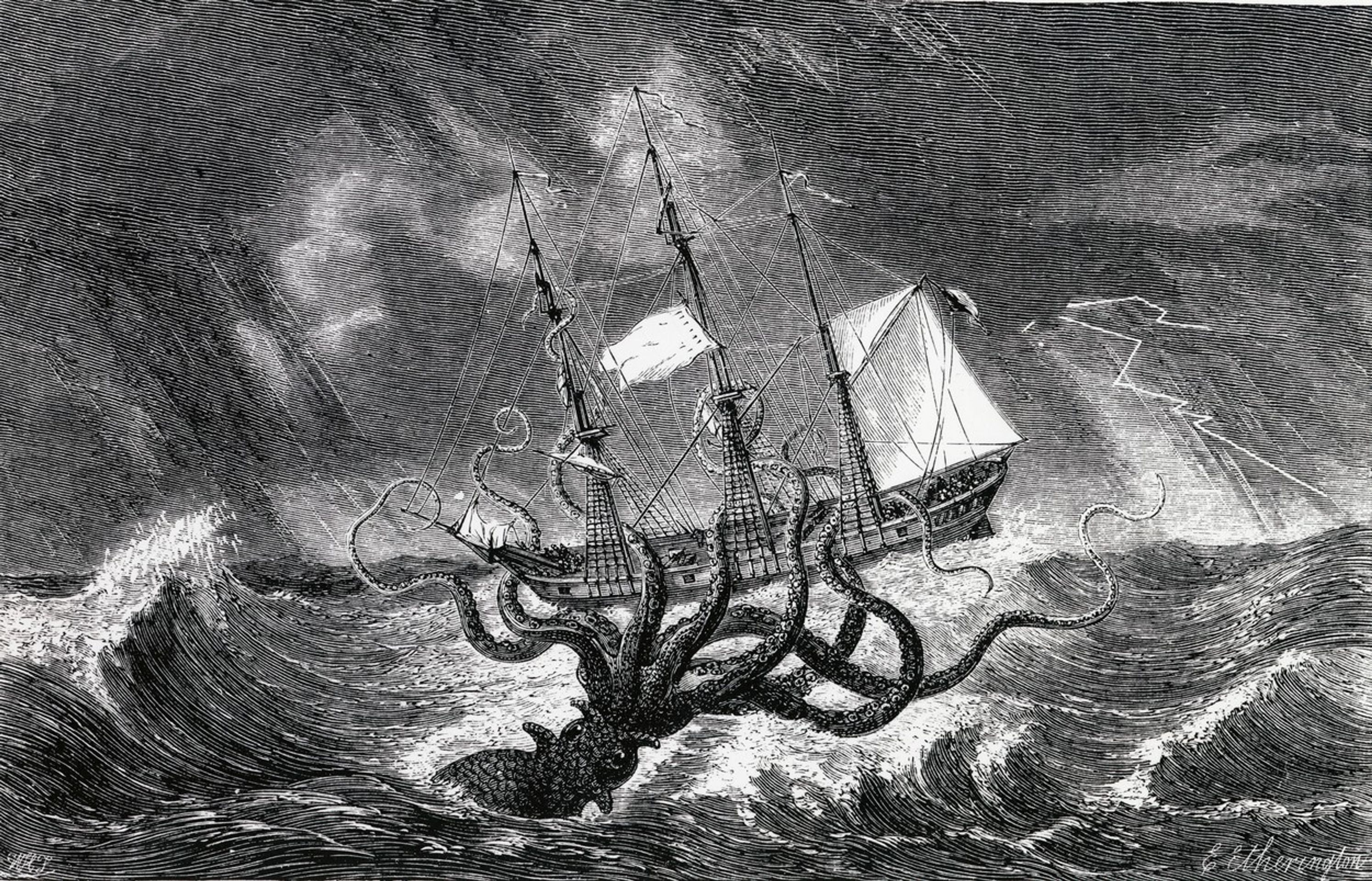 Zobrazení krakena - GALERIE: Kraken u pobřeží Antarktidy (4/4)