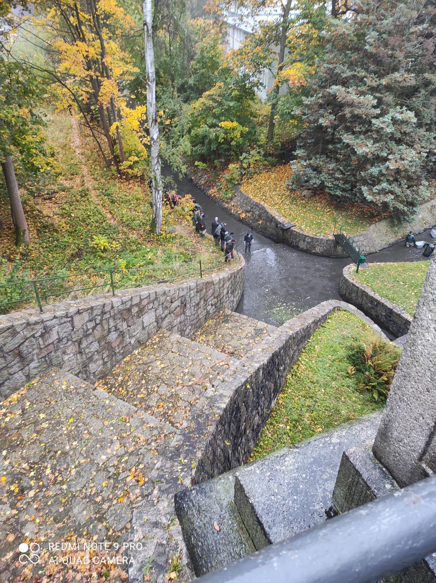 Výlov nádrže Harcov - Výlov nádrže Harcov (10/15)