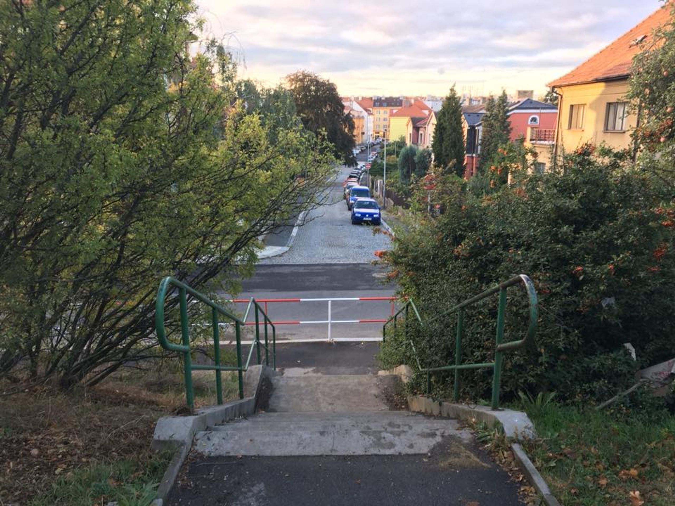 Lidé v pražských Strašnicích se bojí chodit venčit své psy - GALERIE: Lidé v pražských Strašnicích se bojí venčit své psy (6/6)