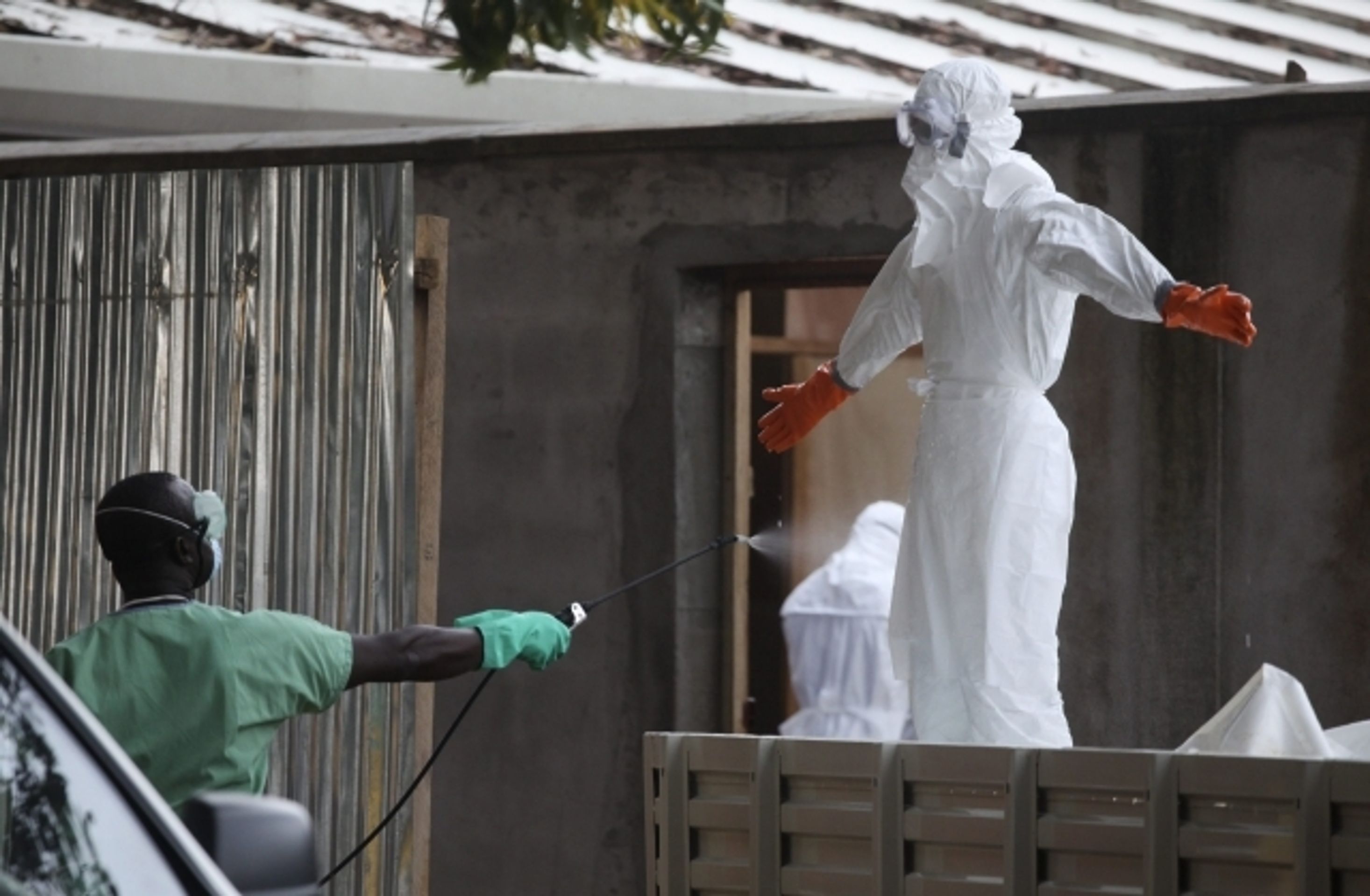 Takhle vypadá ebola - 1 - GALERIE: Takhle vypadá ebola 1 (1/11)