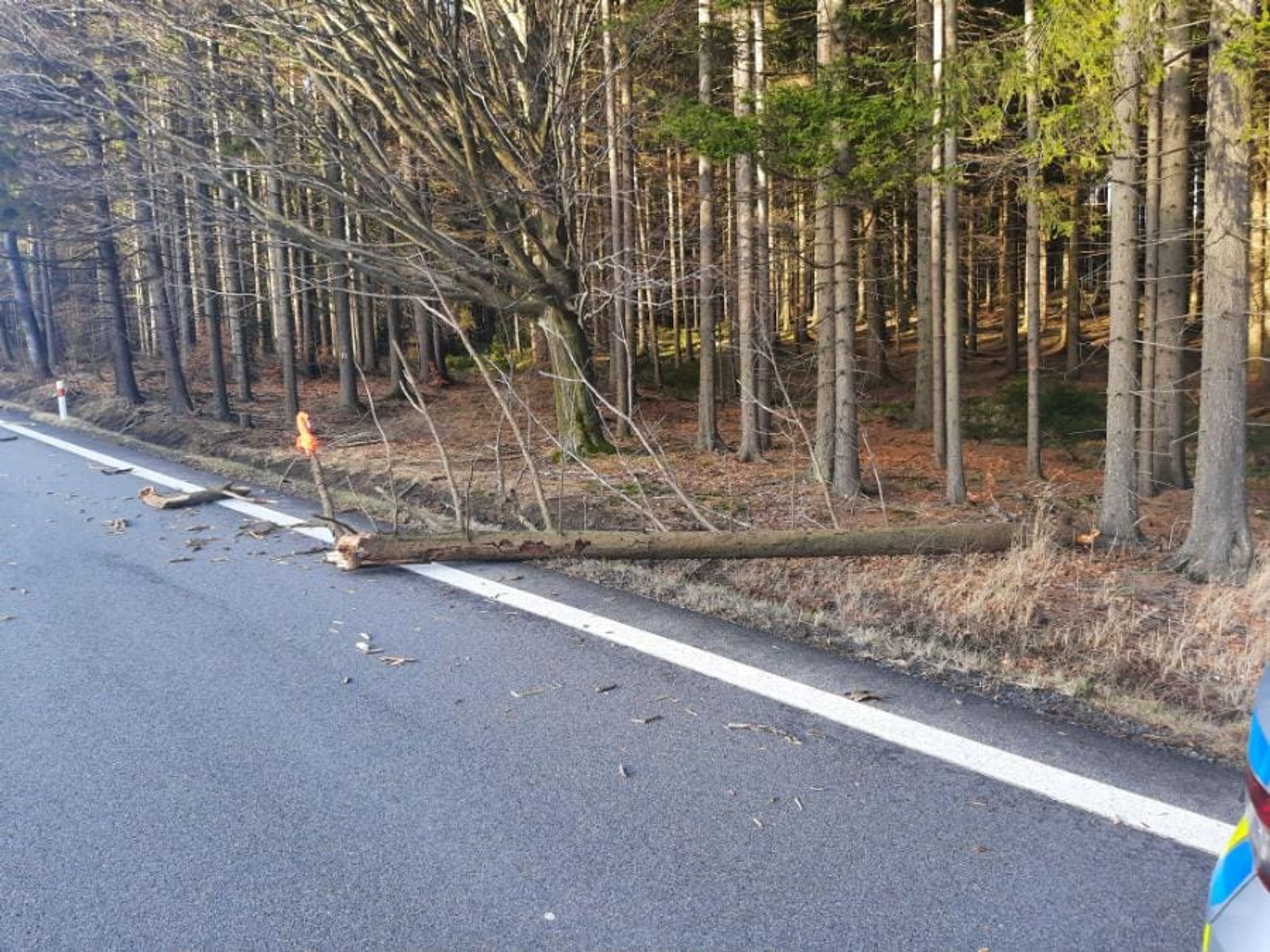 Pád stromu na projíždějící auto na Chrudimsku (2) - Silný vítr v ČR (5/6)