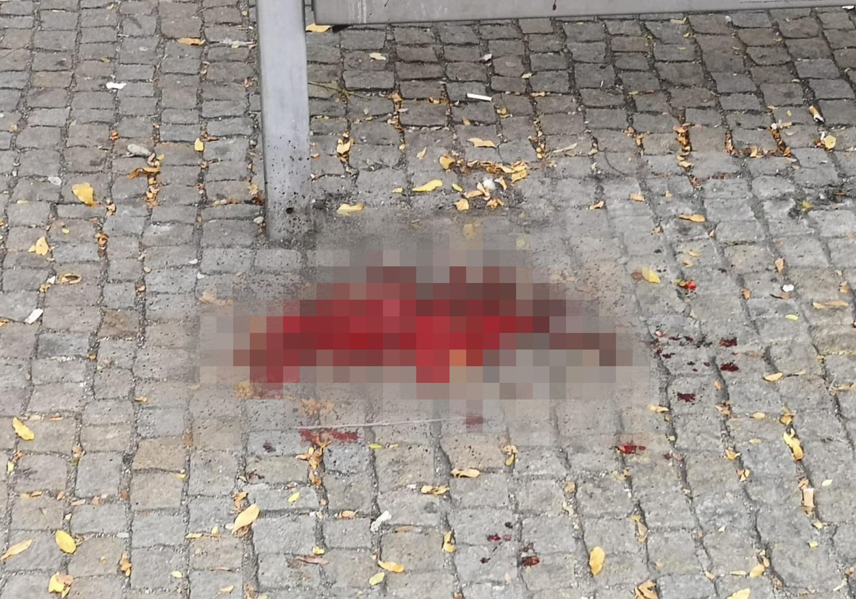 Napadení a zranění muže v centru Plzně (1) - Napadení a zranění muže v Plzni (6/6)