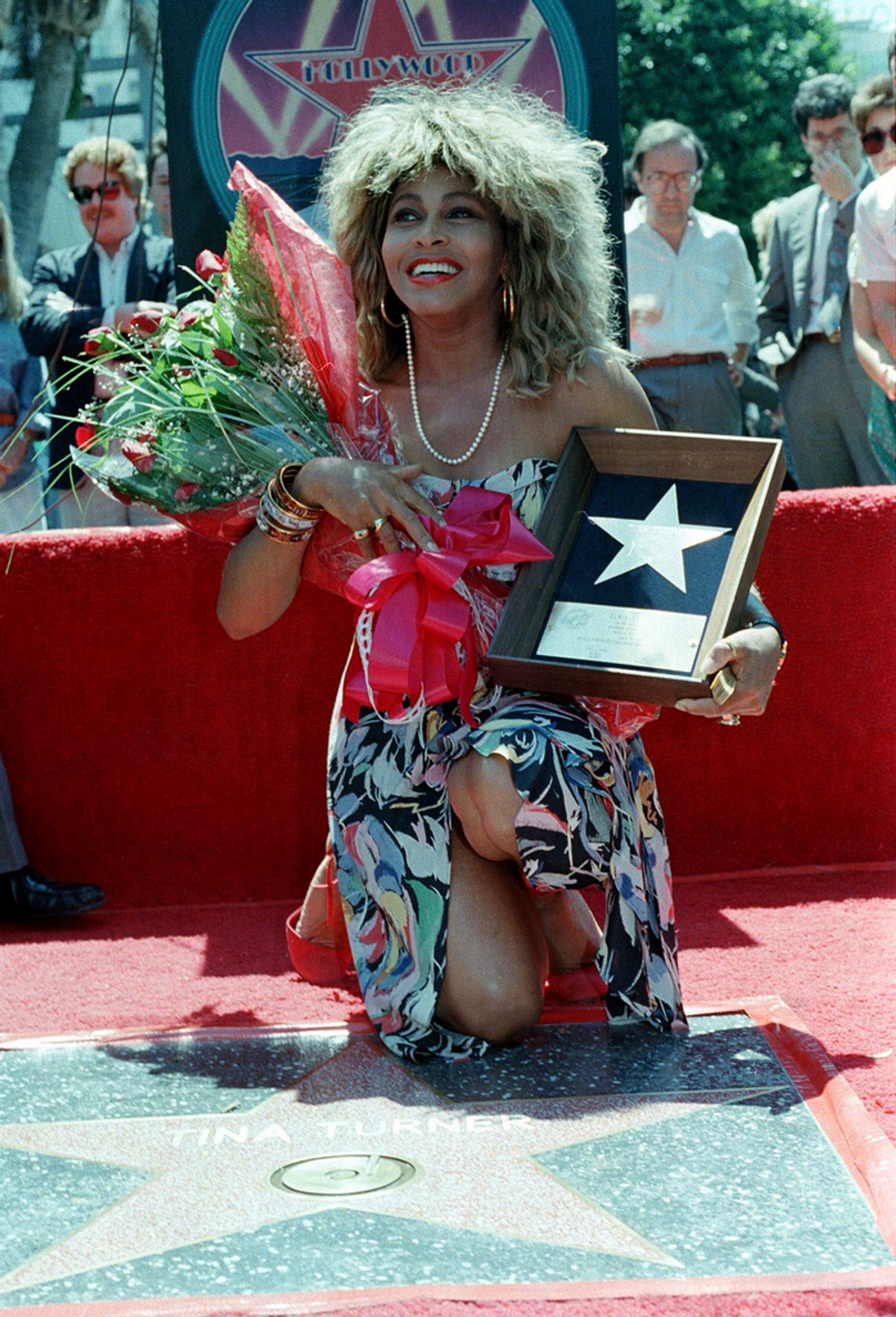 Tina Turnerová - Tina Turner (8/13)