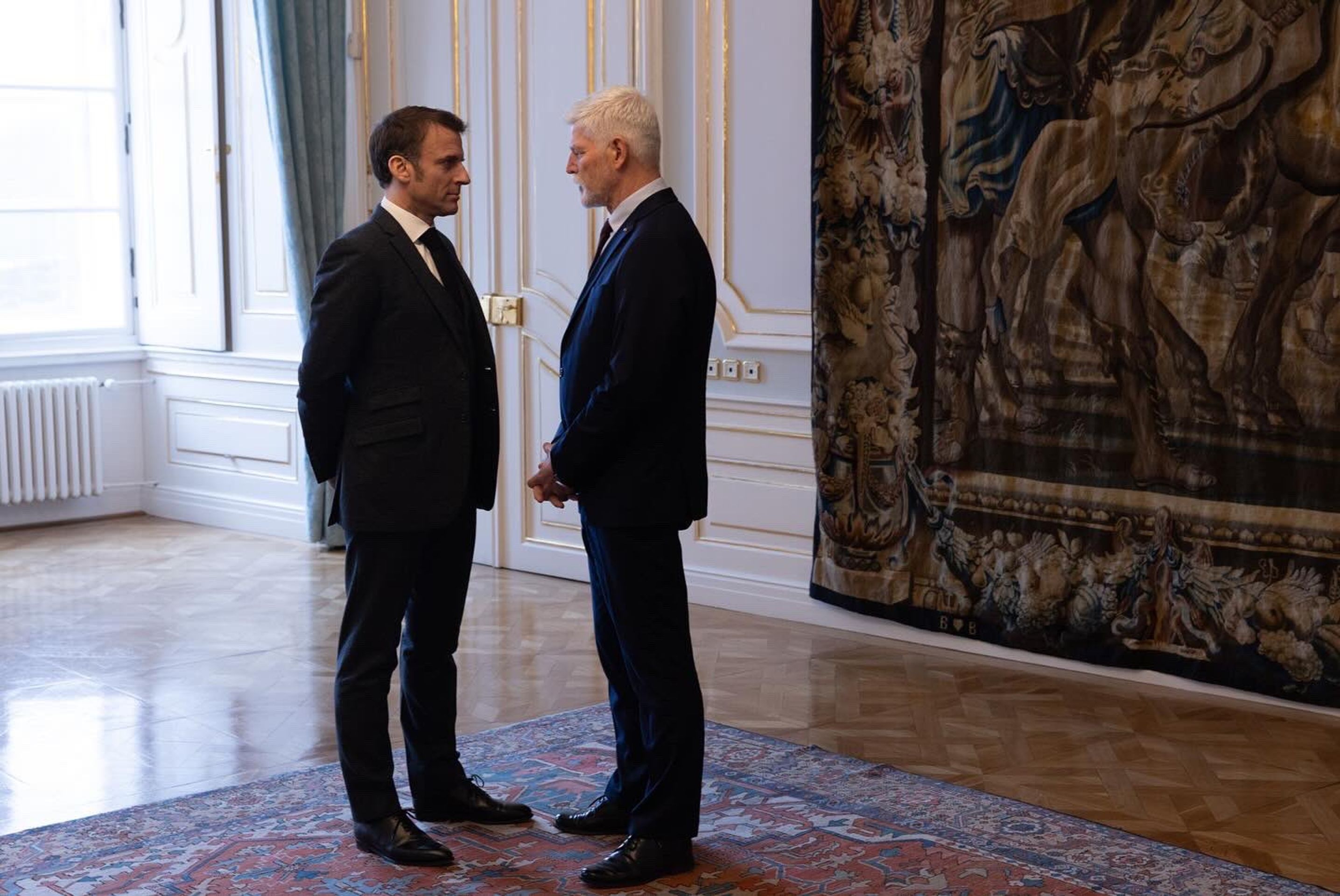 Emmanuel Macron na Pražském hradě - Emmanuel Macron (5/19)