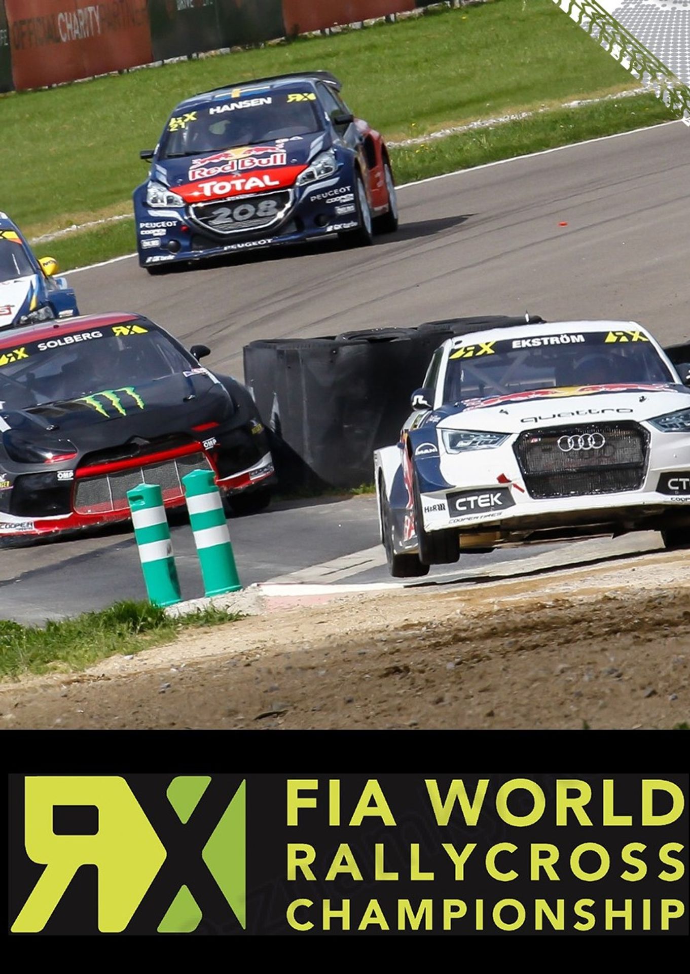 fia velká británie - GALERIE: Týrání koní v Horním Újezdu na Přerovsku (3/7)