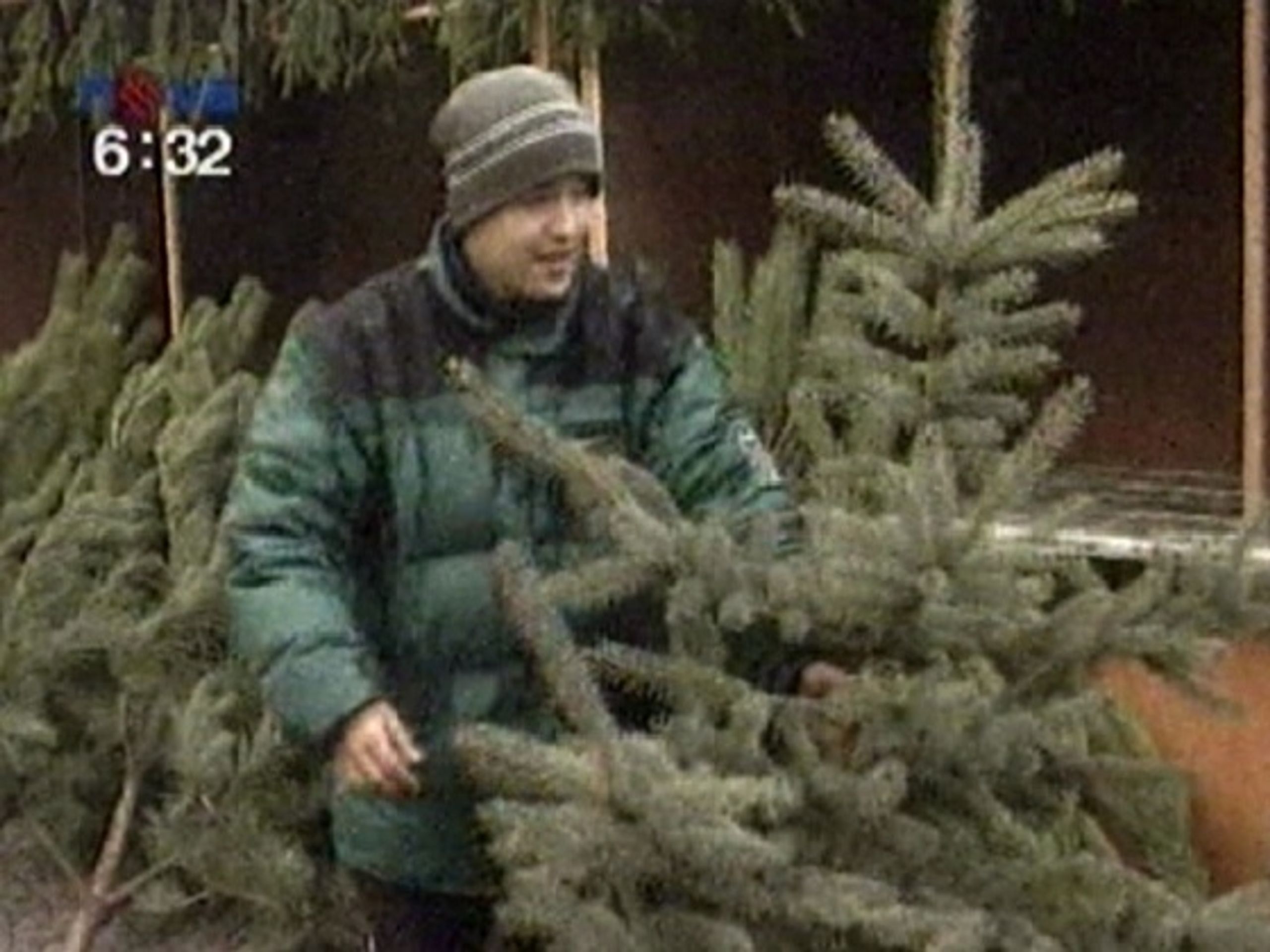  - Ekologické vánoční stromky (1/3)