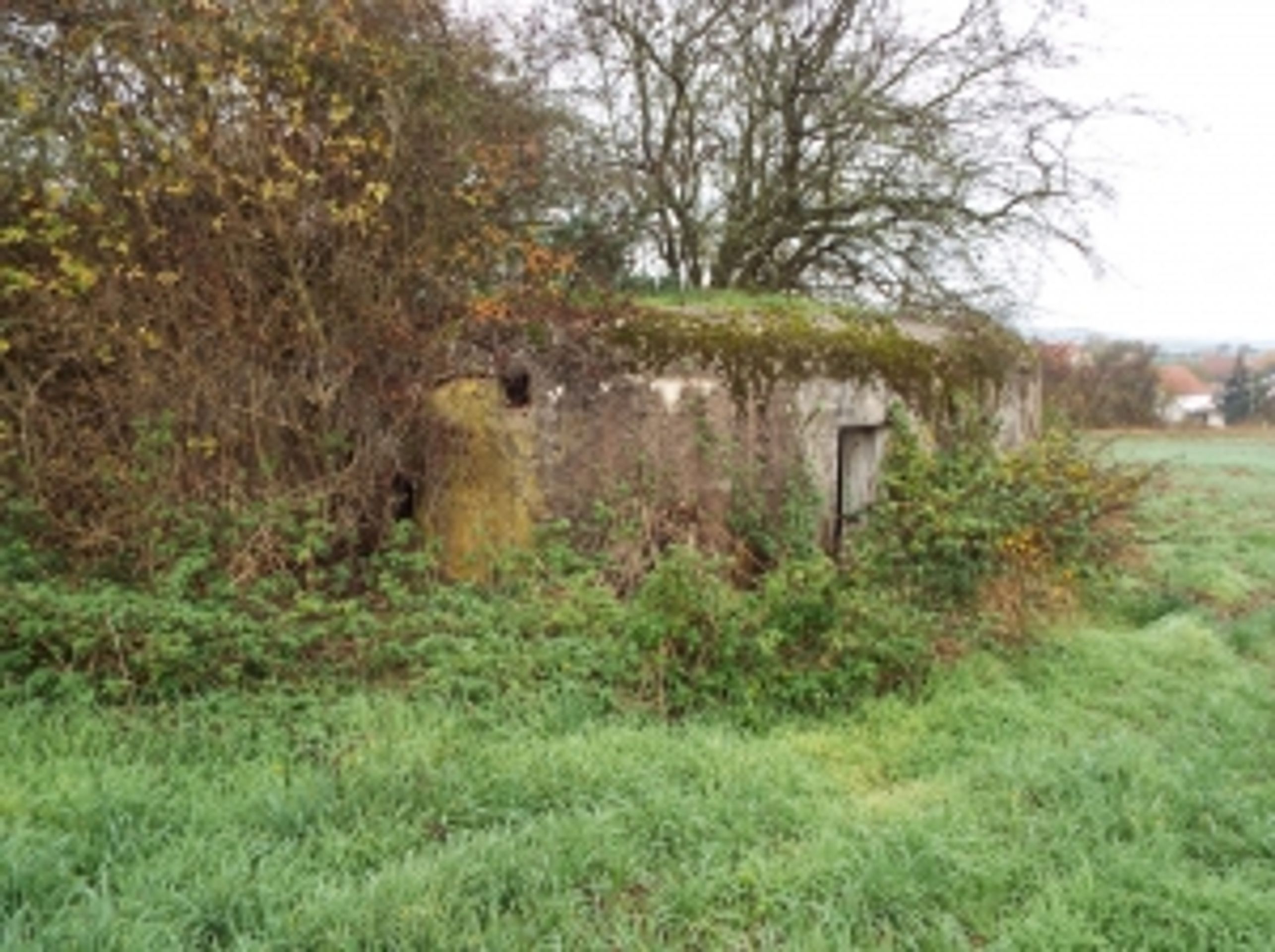 Řopík v obci Lubenec, Louny (4) - Nabídka nemovitého majetku (16/25)