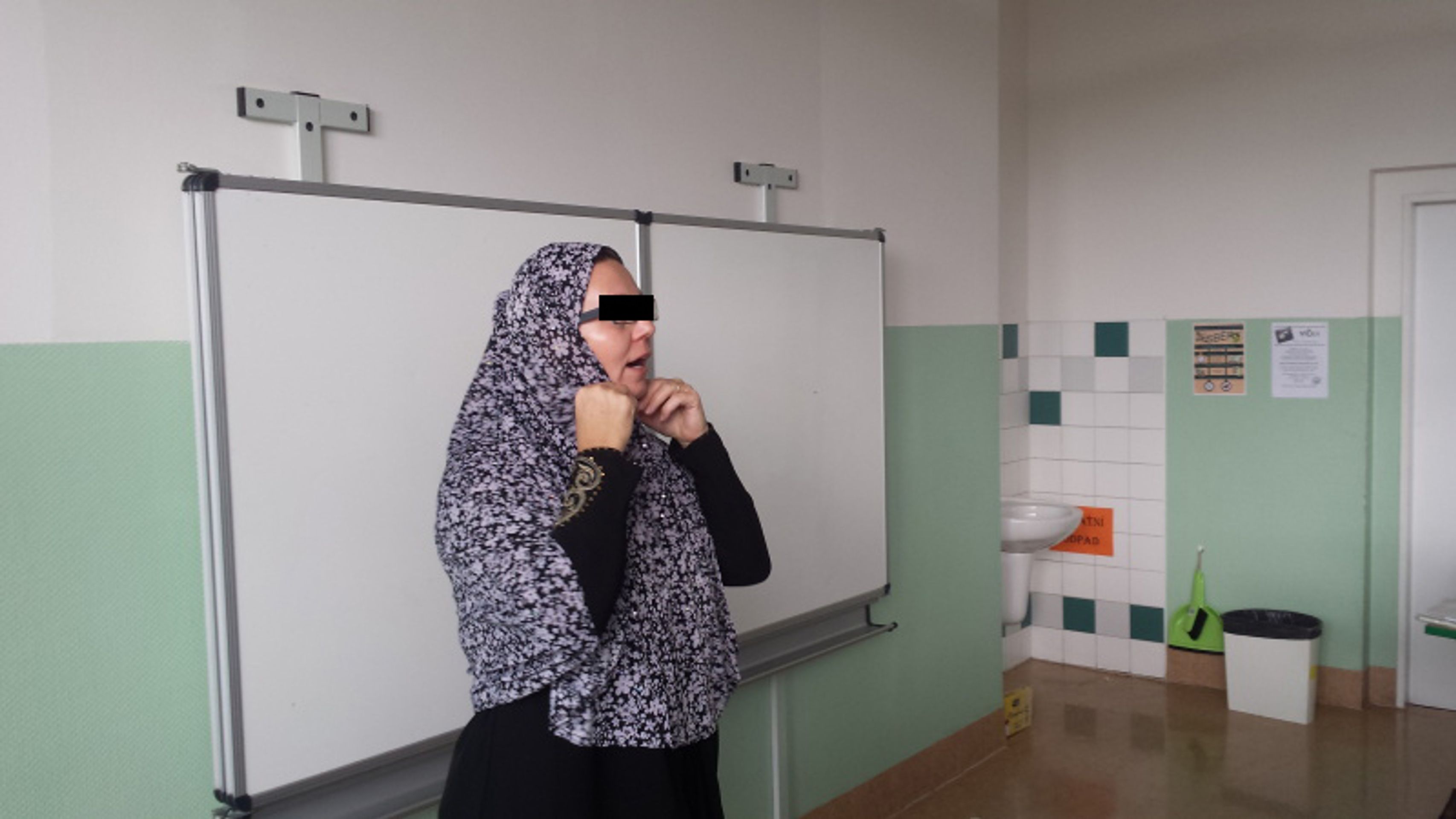 Výuka dějepisu na základní škole v Trutnově - 4 - GALERIE: Výuka dějepisu na základní škole v Trutnově (4/12)