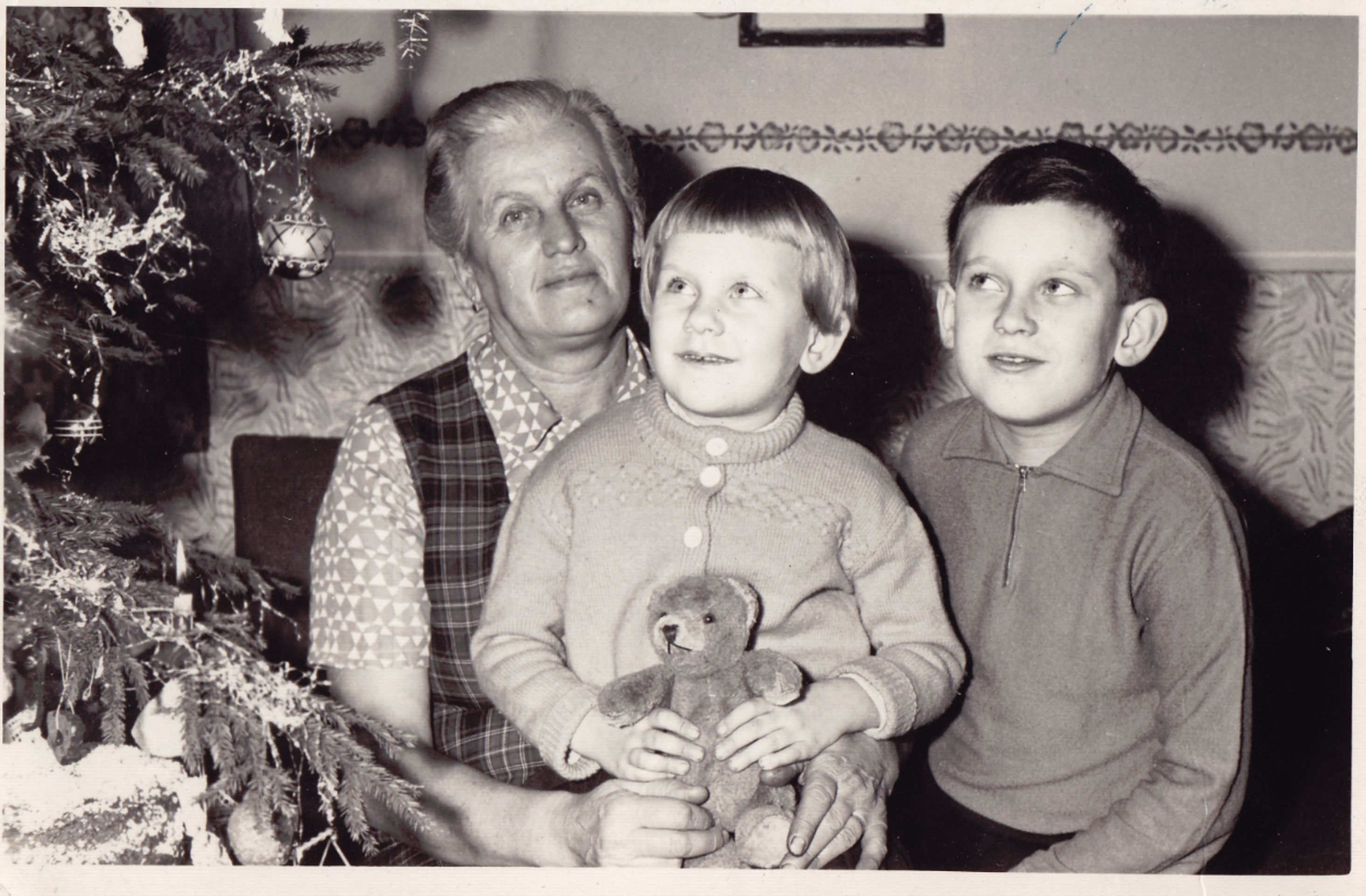 Vánoce paní Martiny - Nejstarší vánoční stromky - fotogalerie (7/8)