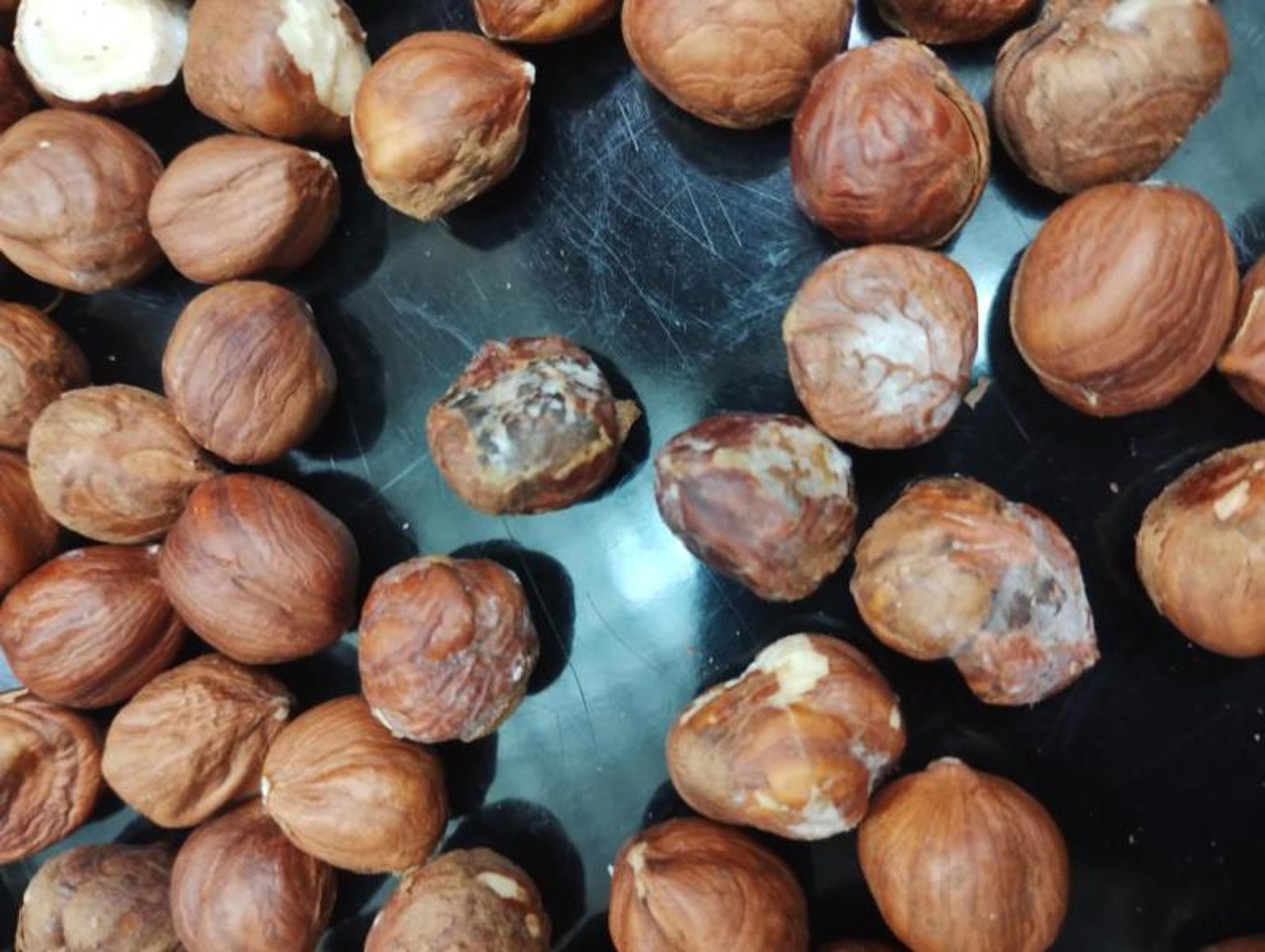 naturalia LÍSKOVÁ JÁDRA 200g - Závadný med, sušenky a oříšky (7/14)