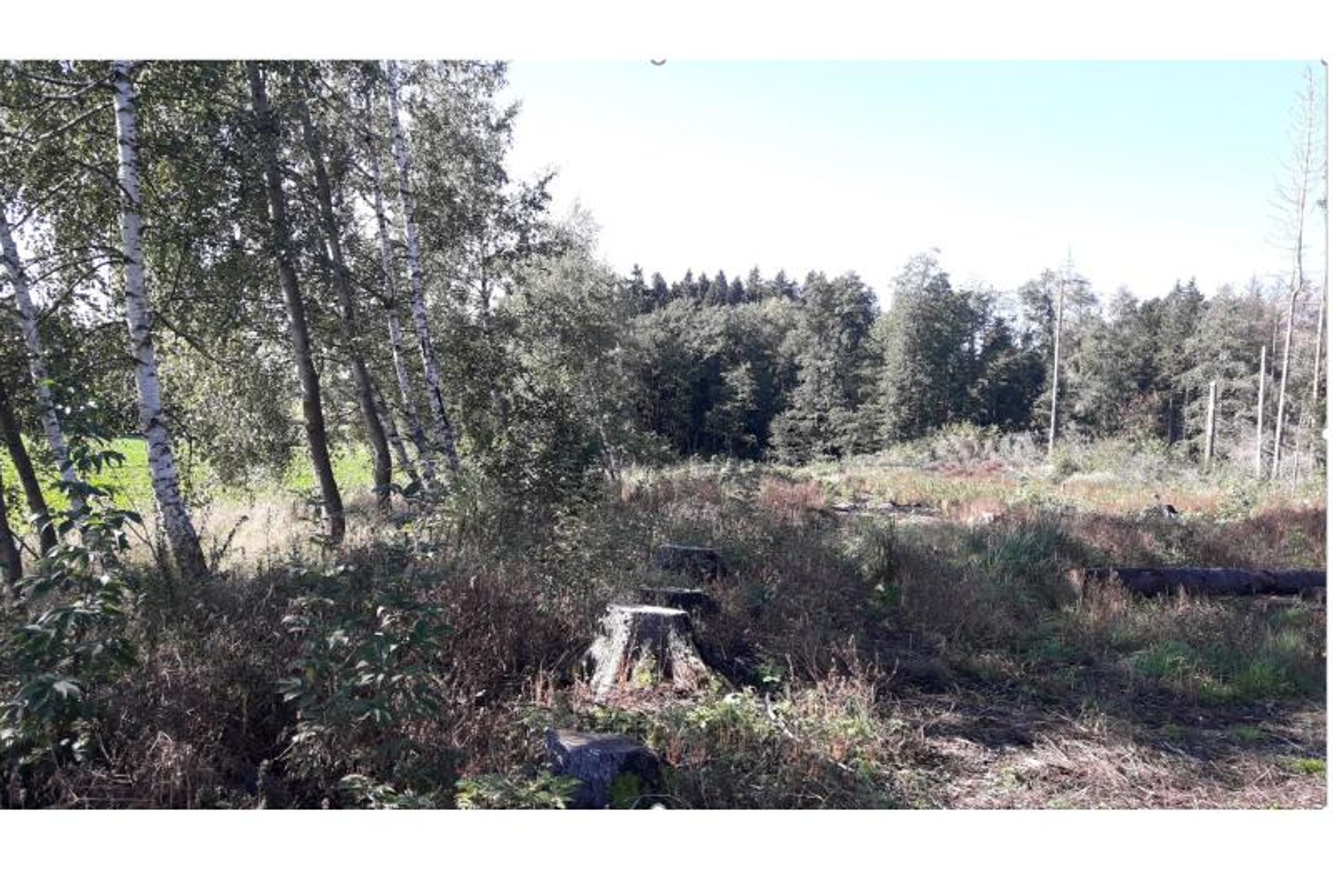 Dražba pozemků - Rozprodej státního majetku –⁠ pozemky (7/9)