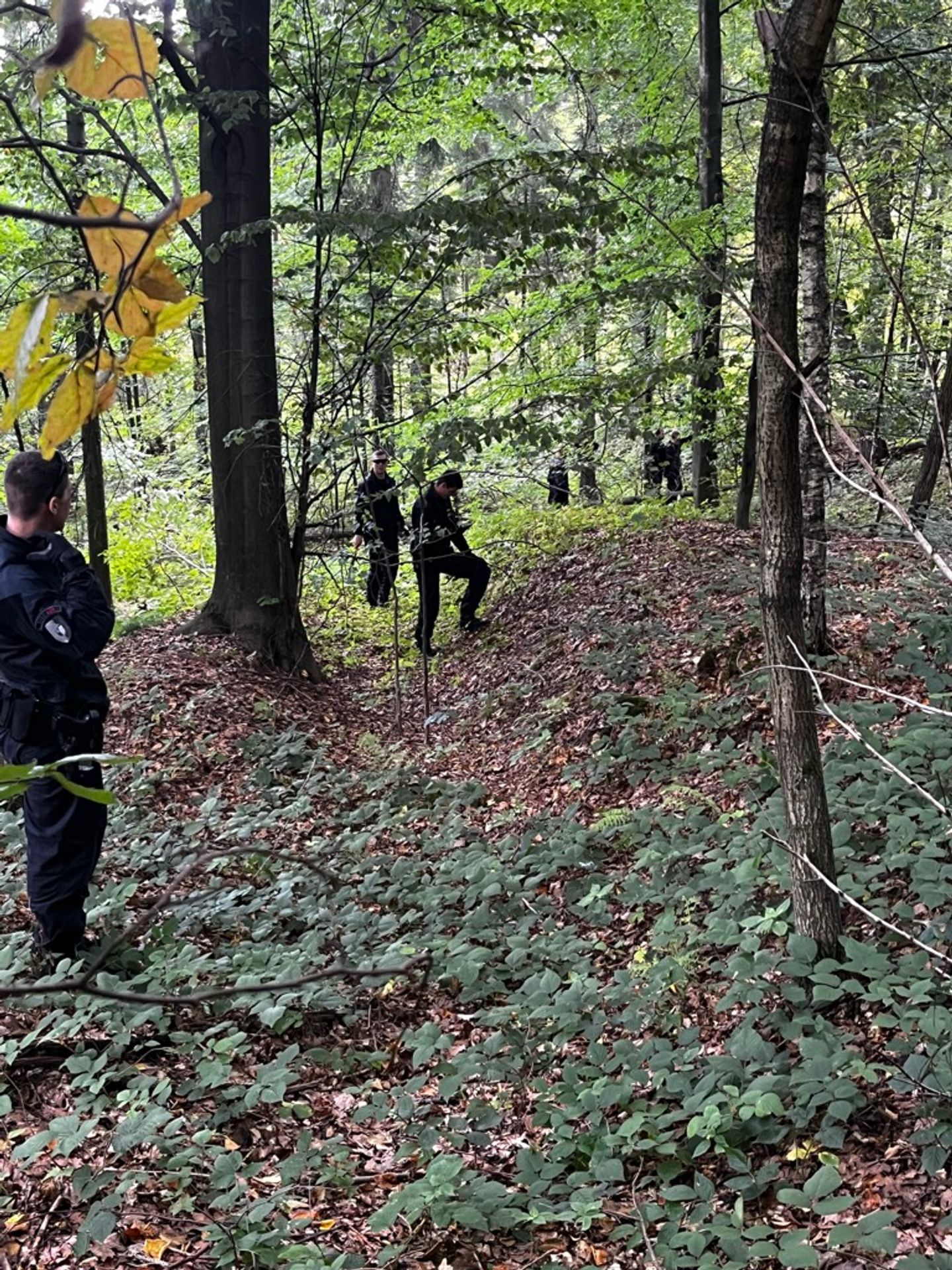 Policejní pátrání po paní Janě Šerjeníkové - Pátrání po paní Janě Šerjeníkové (10/15)