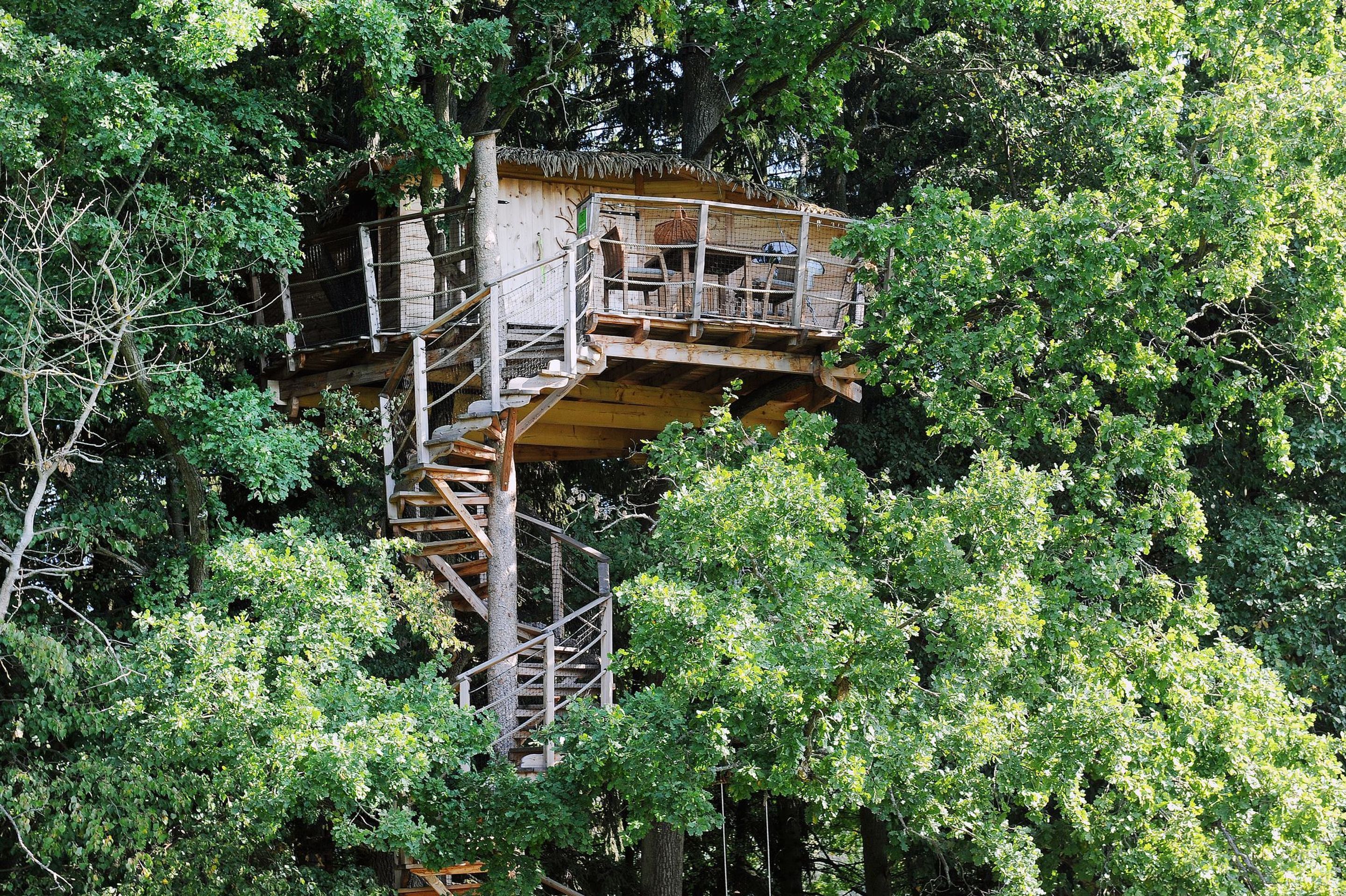 Tree house - 15 - GALERIE: Tree house (1/15)