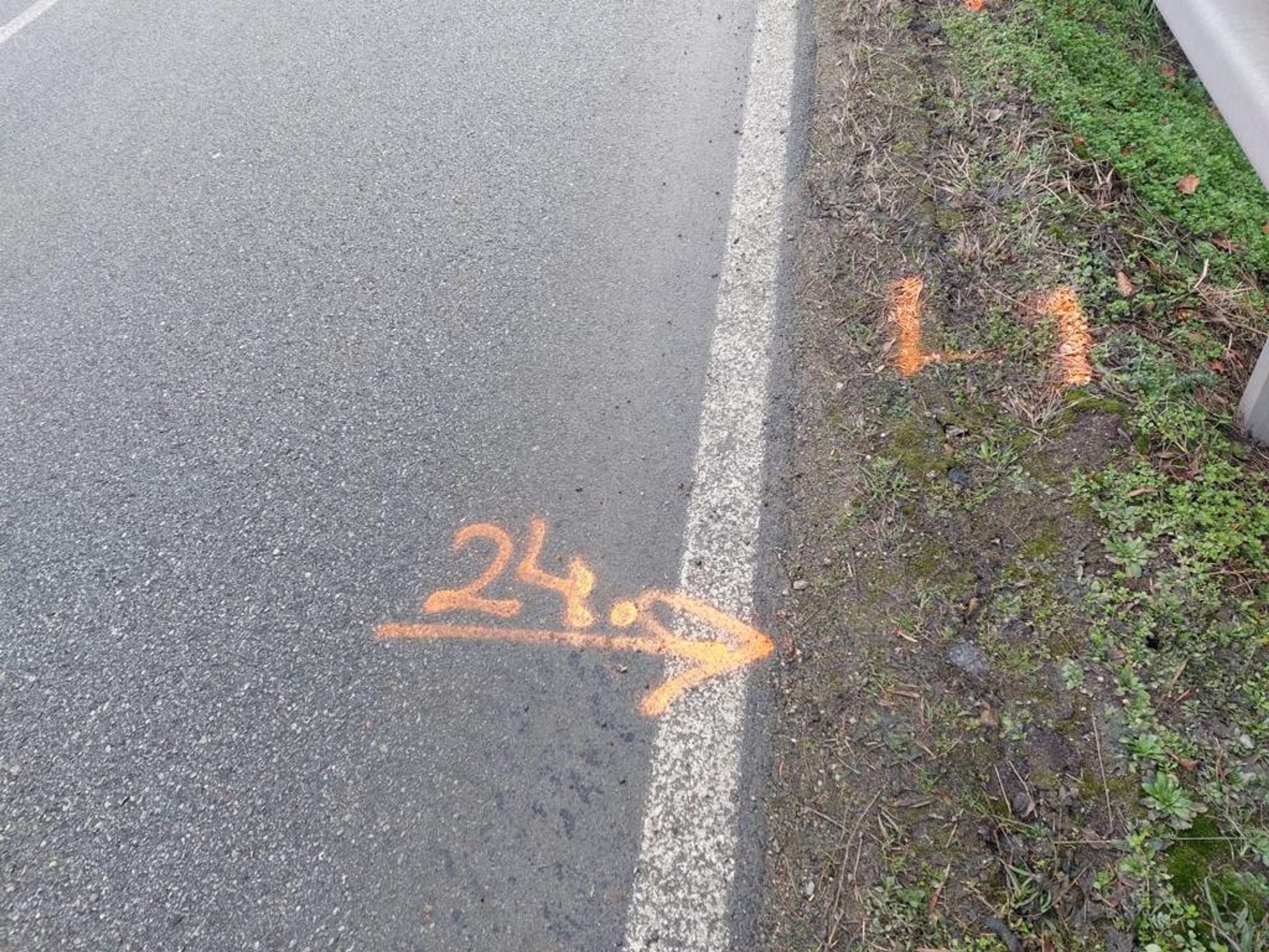 Srážka chodce v obci Nedabyle (3) - Srážka chodce v obci Nedabyle (3/6)