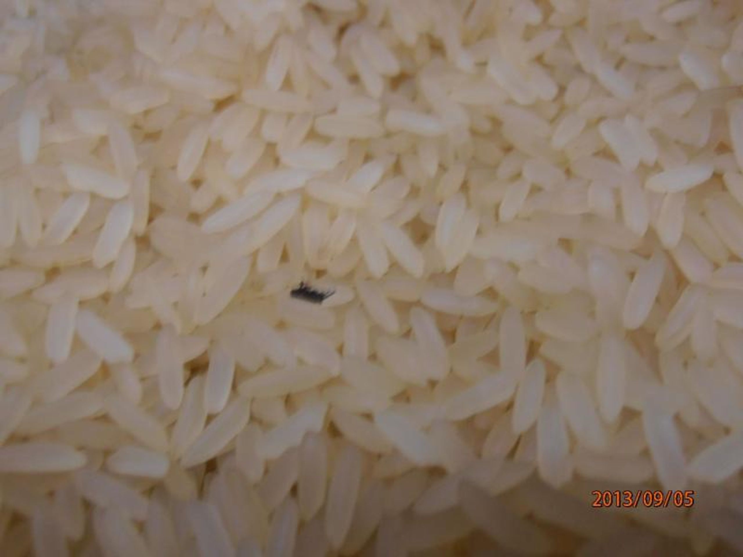 Potraviny na pranýři: Kaufland Liberec: Parboiled rýže dlouhozrnná - 2 - GALERIE: Kaufland Liberec - Parboiled rýže dlouhozrnná (2/5)