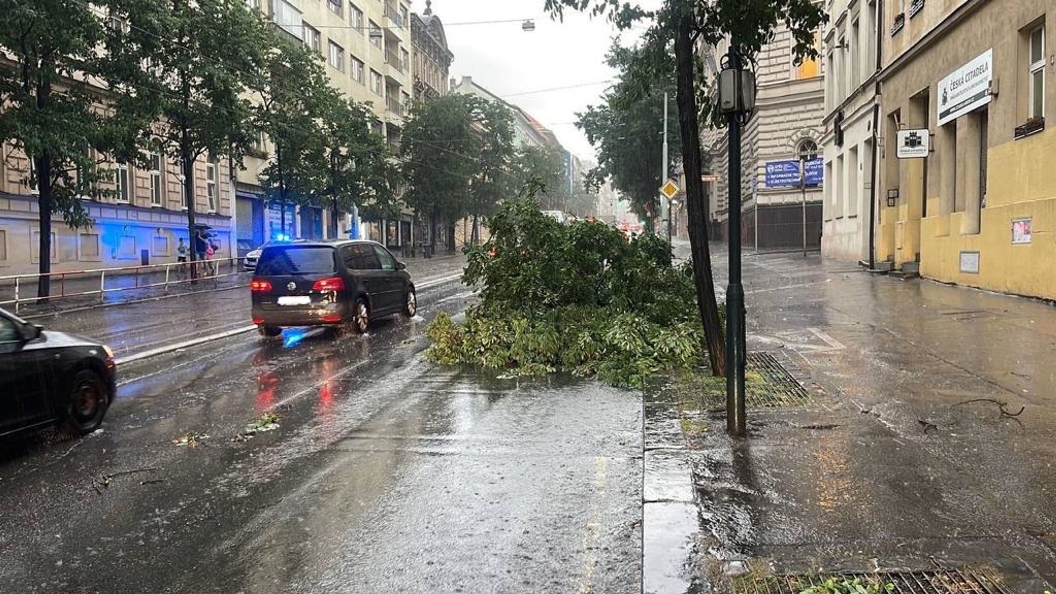 Spadlý strom v Praze - Bouřky zasáhly Česko (8/20)