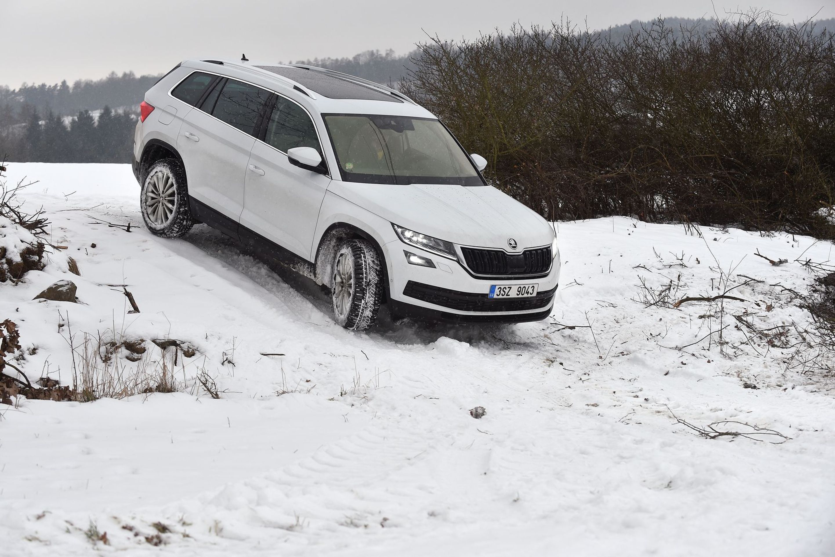 Škoda Kodiaq - 14 - GALERIE: Škoda Kodiaq (8/20)