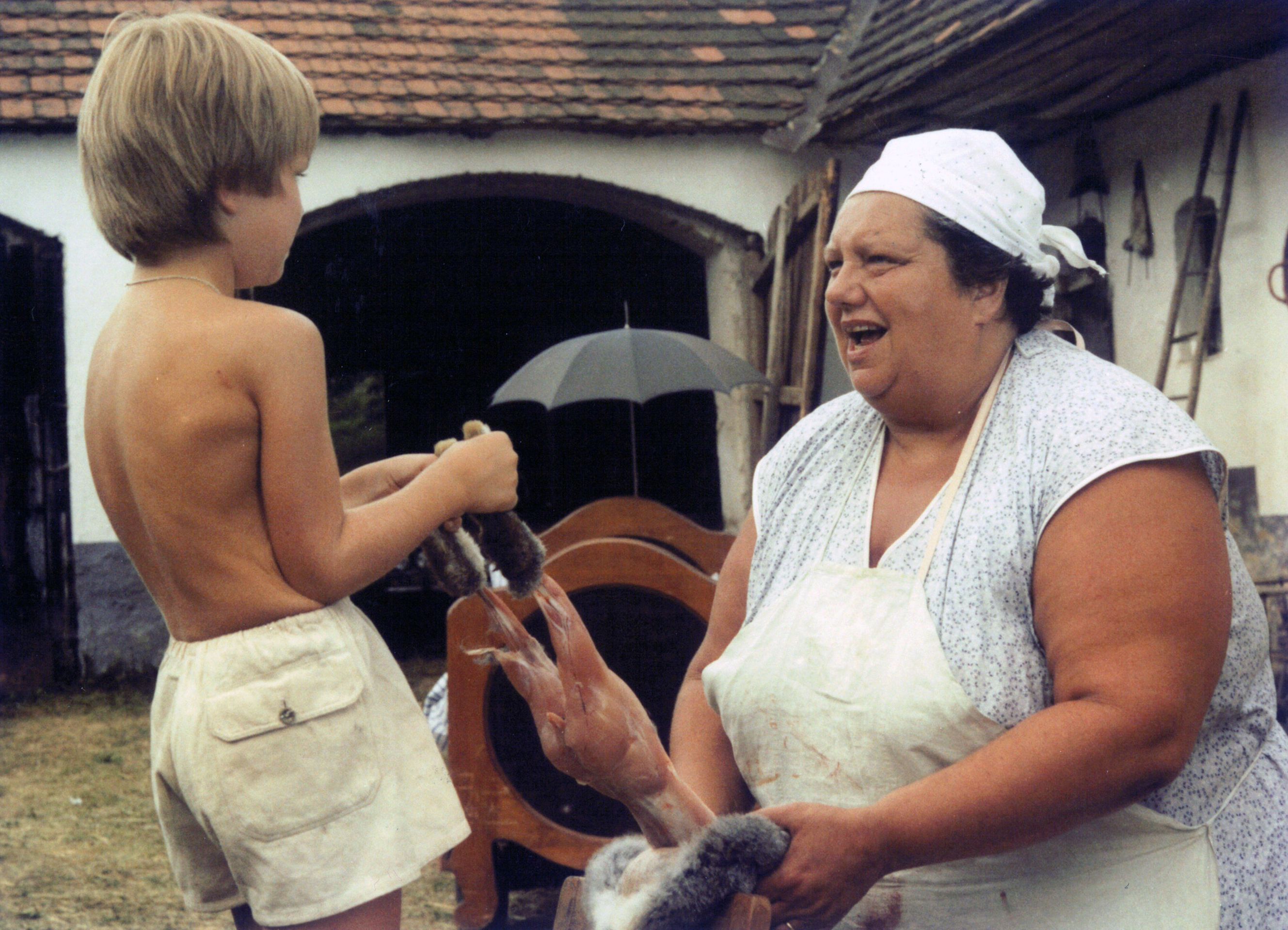 Slunce seno jahody - České filmy o Vánocích (1/6)