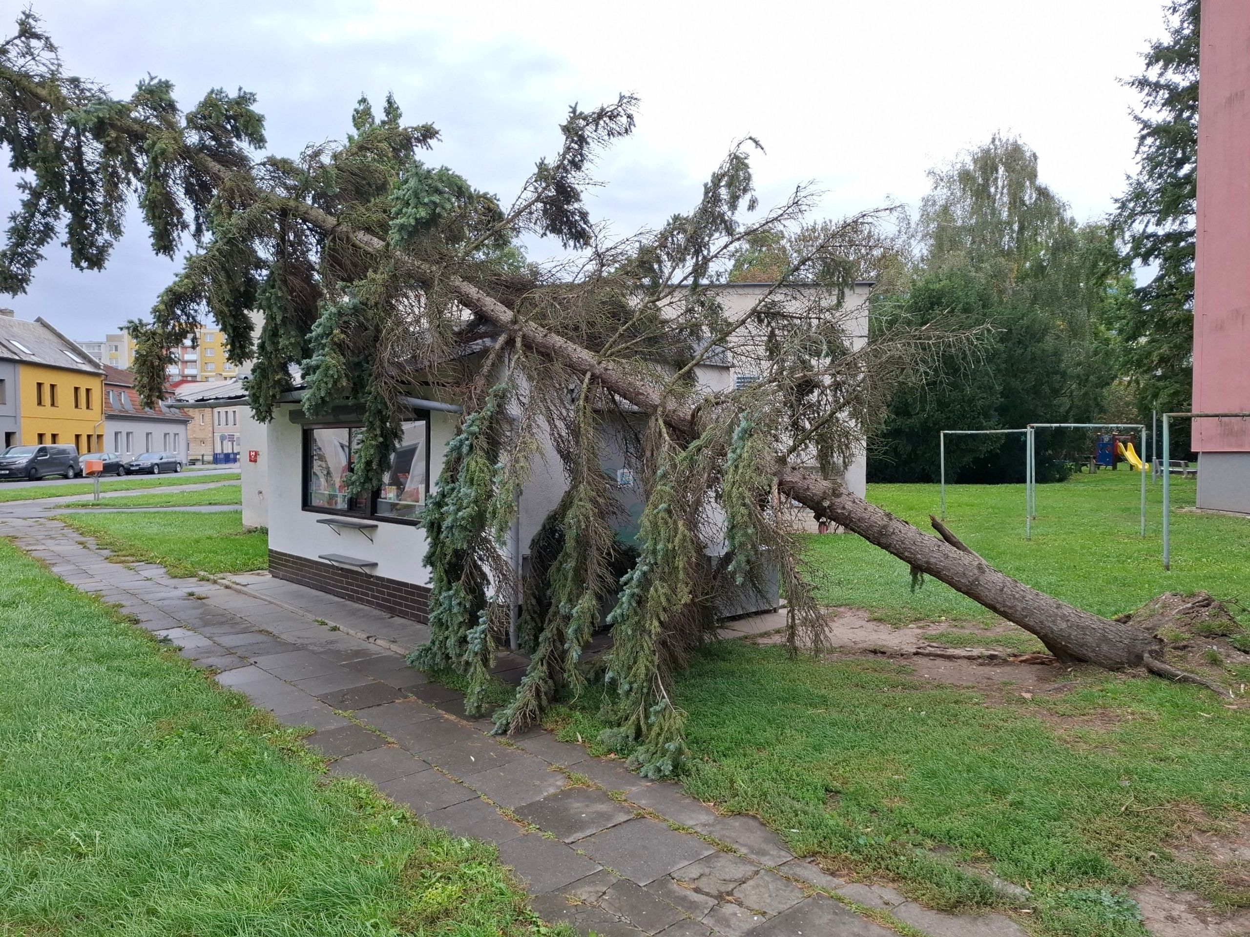 Následky silného větru v Olomouckém kraji - Následky silného větru (4/8)