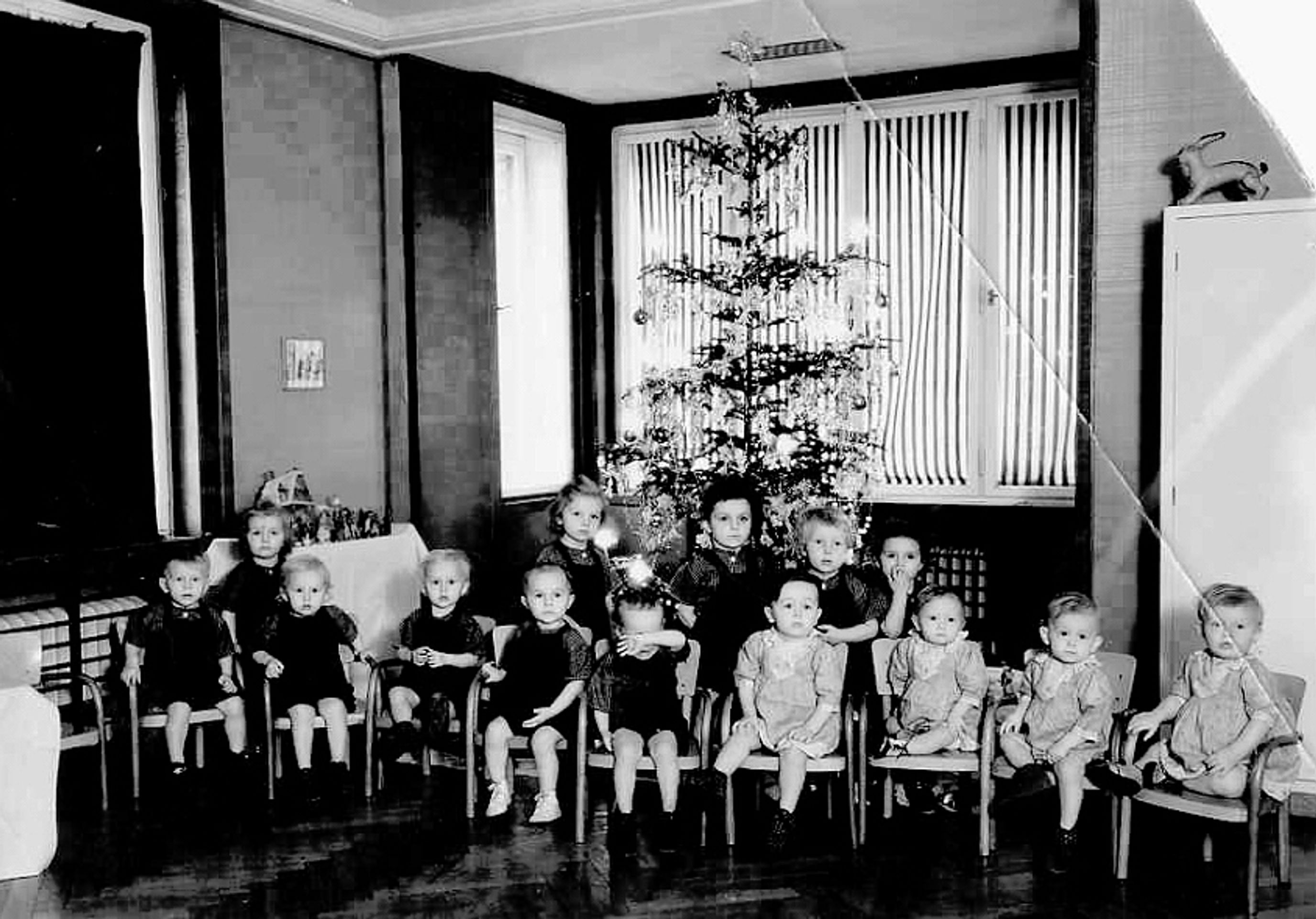Vánoce pana Slavíka - Nejstarší vánoční stromky - fotogalerie (5/8)