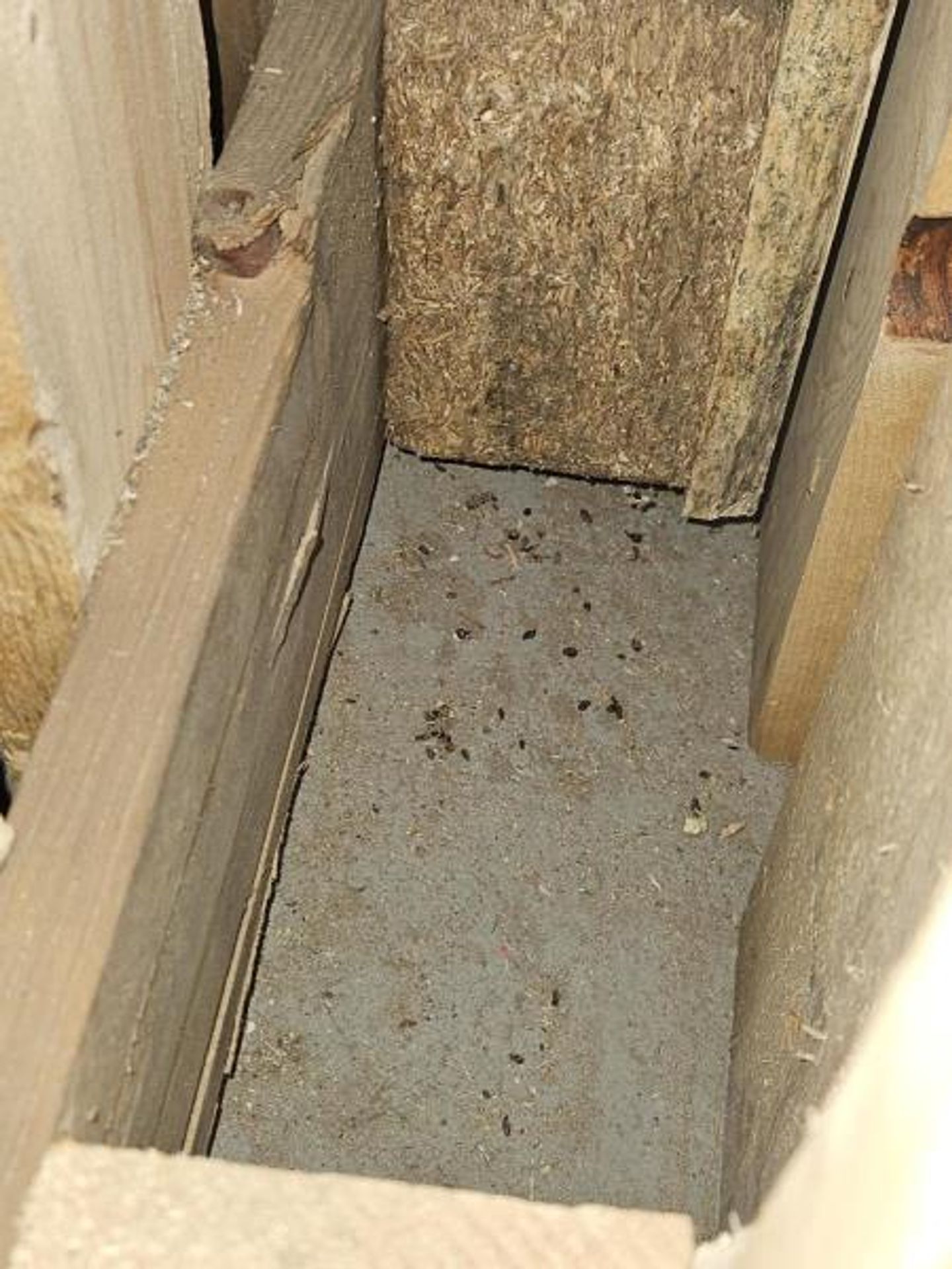 Uzavřený obchod Hruška, Dobřenice (3) - Uzavřené obchody za poslední měsíce (13/54)