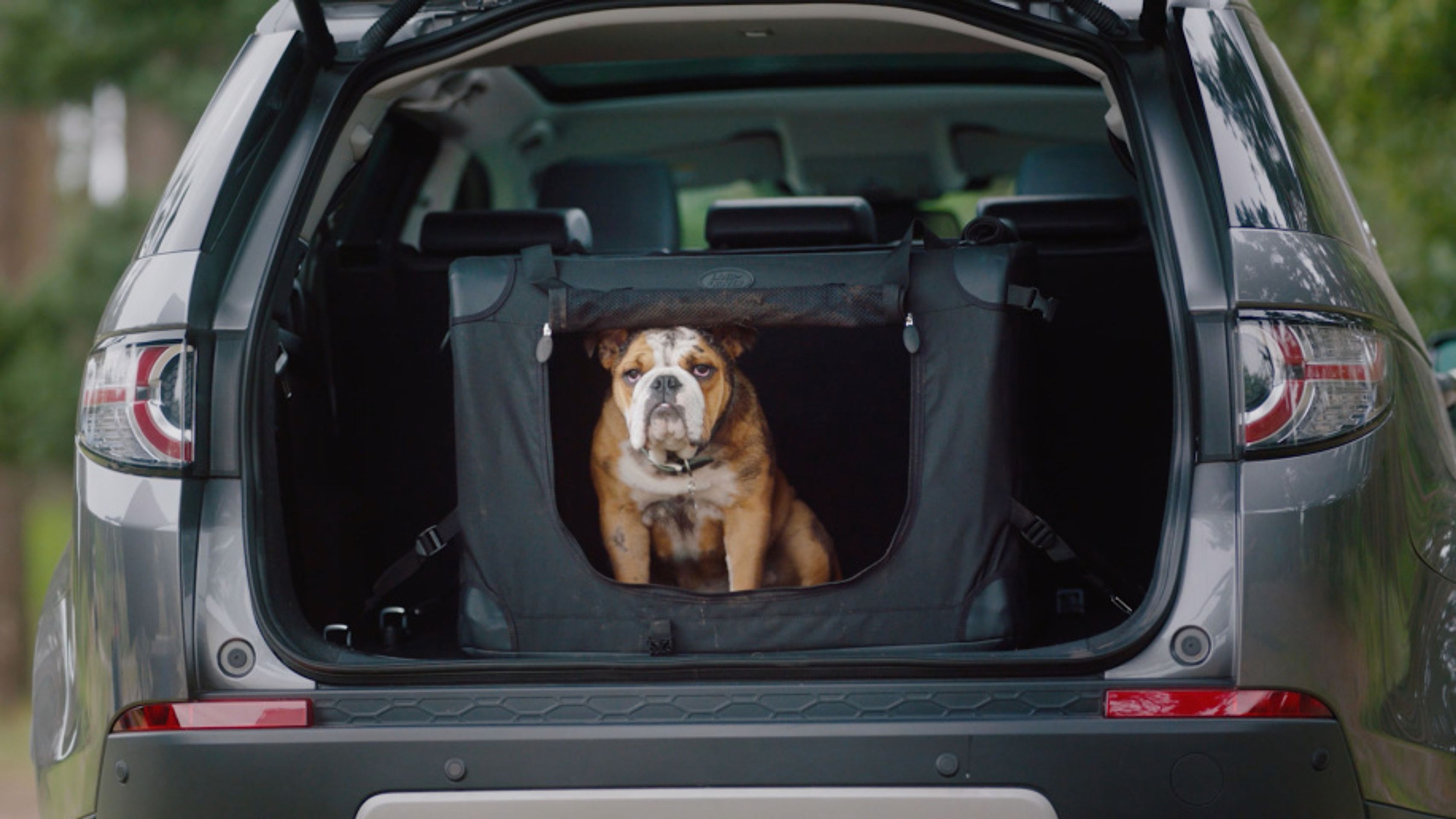 Výbava pro psy od Land Roveru - 23 - Fotogalerie: Psí výbava od Land Roveru (1/12)