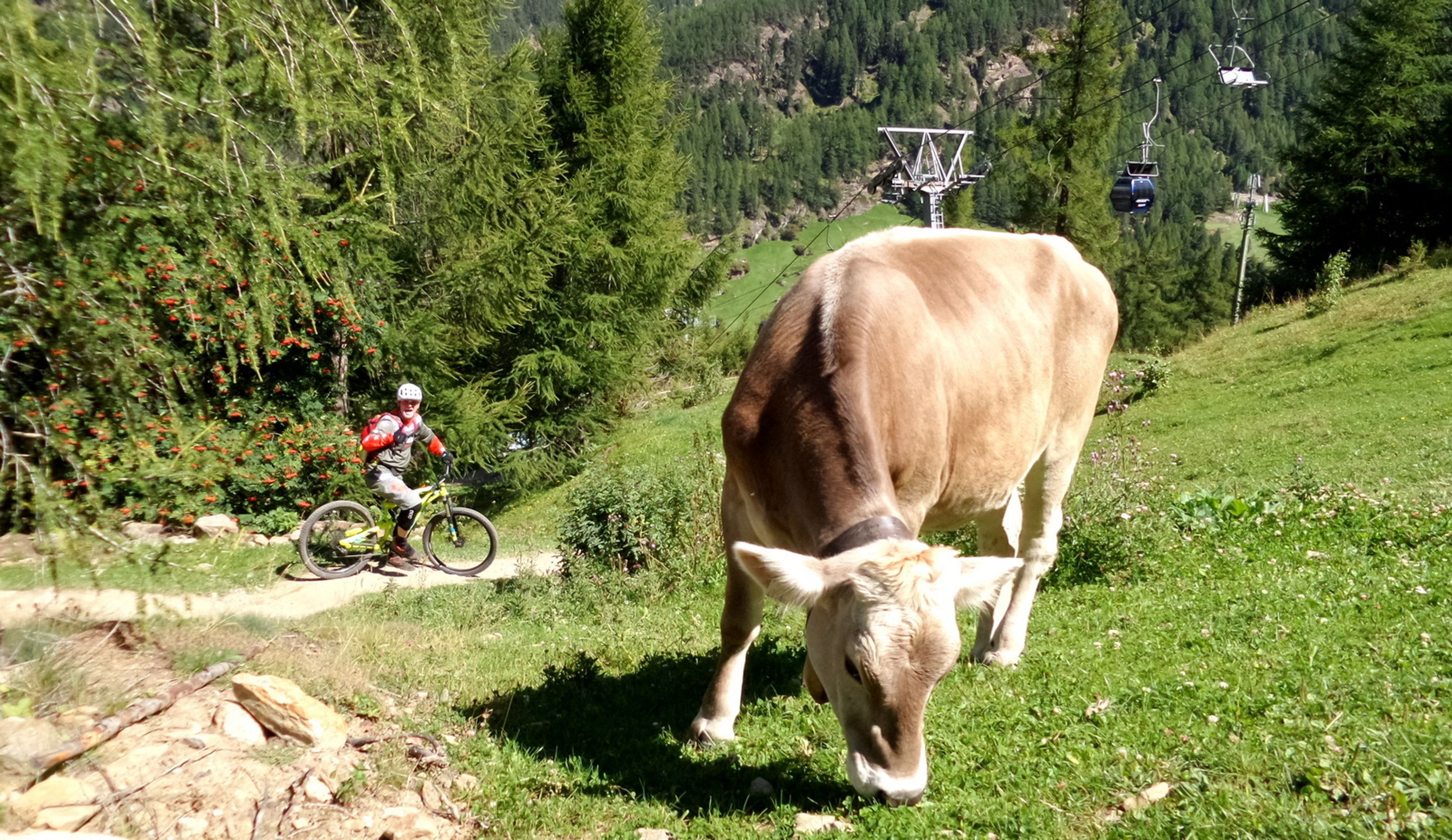Cyklospeciál - rakouský Sölden - 12 - GALERIE: Cyklovýlet Sölden (12/50)