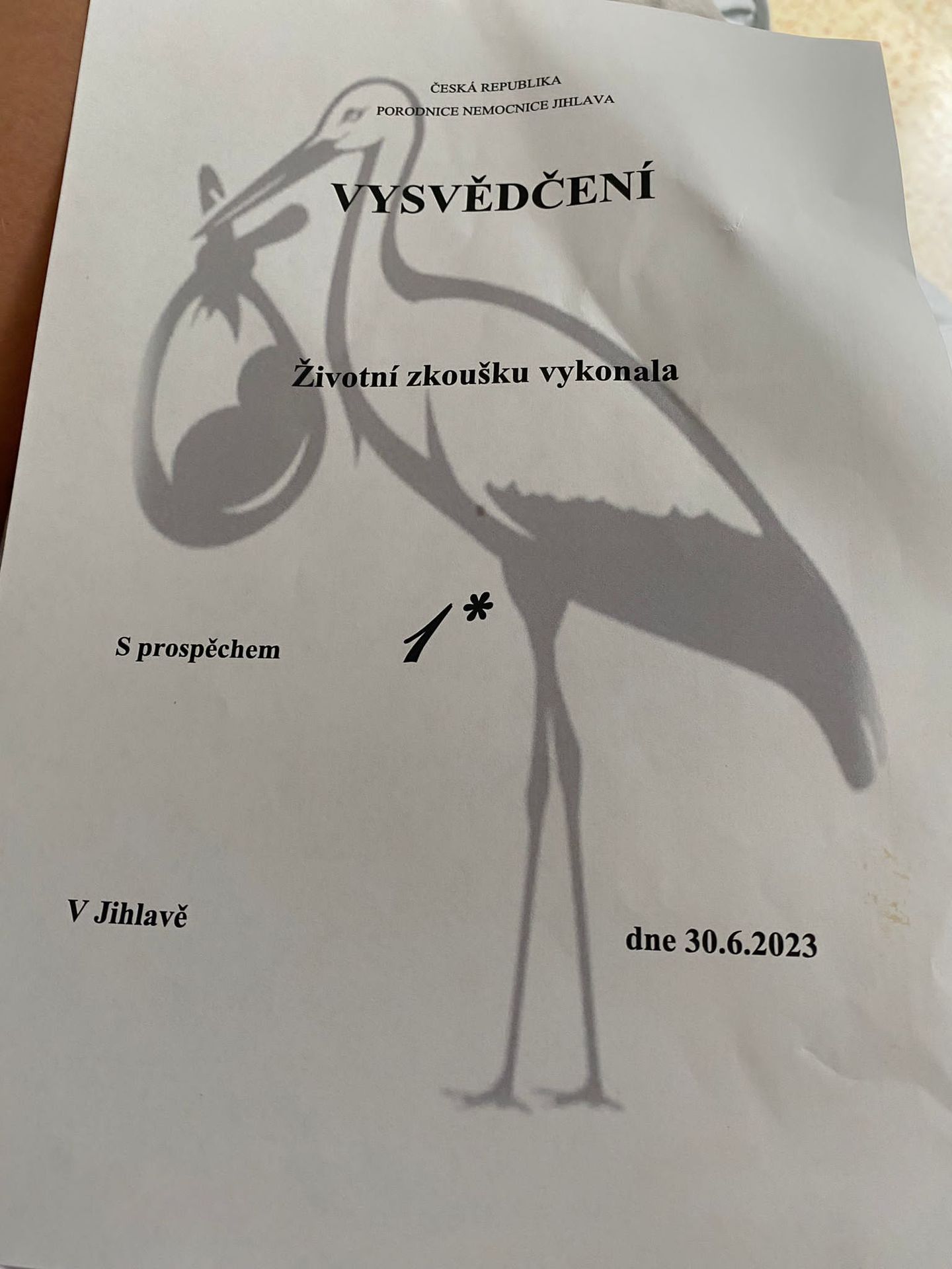 Vysvědčení pro maminku - Simona Šimková s miminkem (3/4)