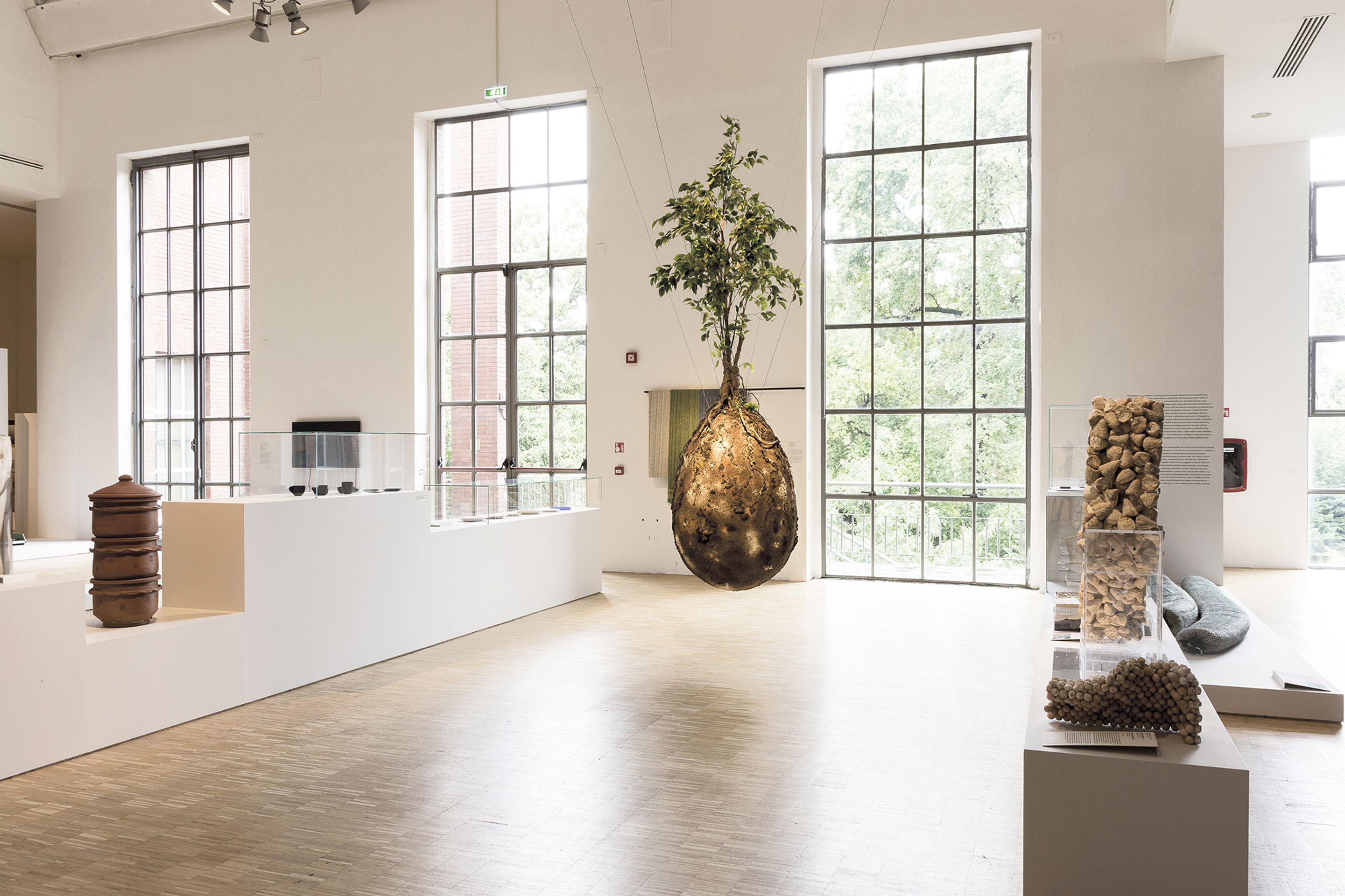 Capsula Mundi - 2 - GALERIE: Capsula Mundi (1/15)